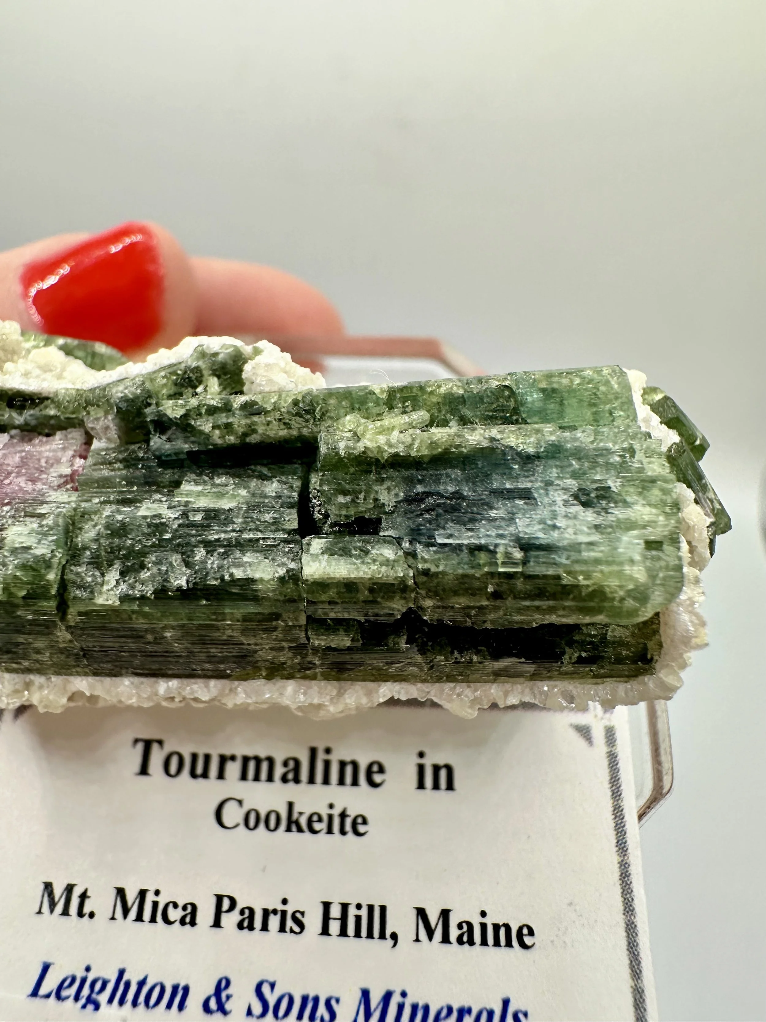 Photo Apr 04 2026, 2 45 50 PM.jpg