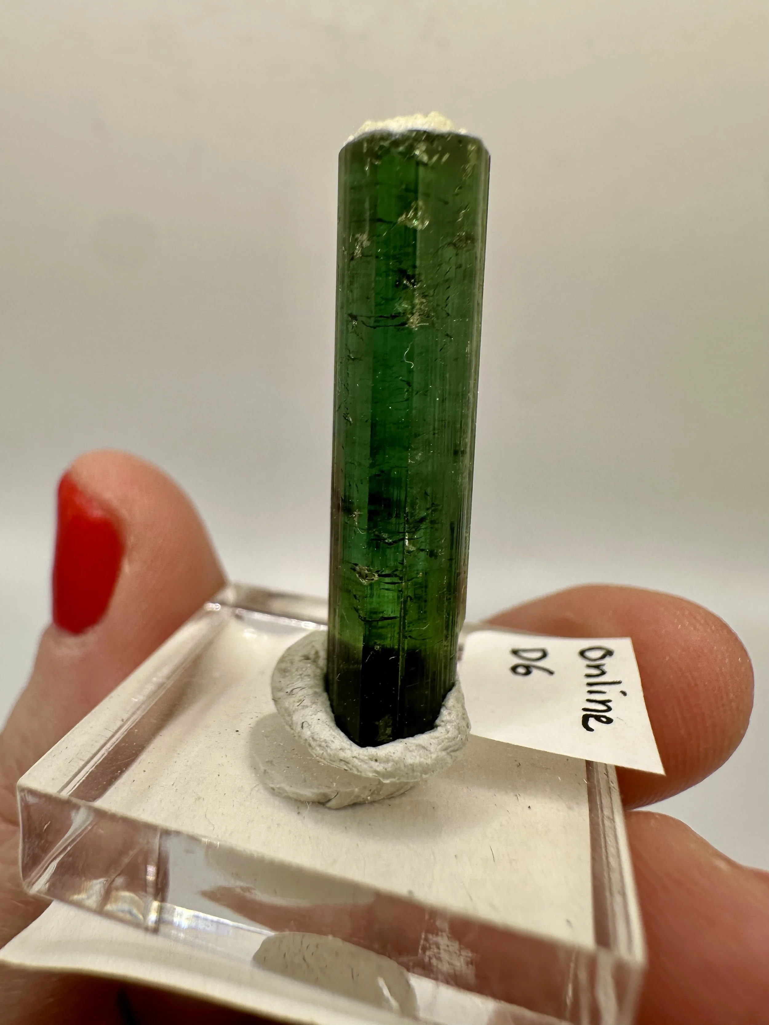 Photo Apr 04 2026, 2 48 39 PM.jpg