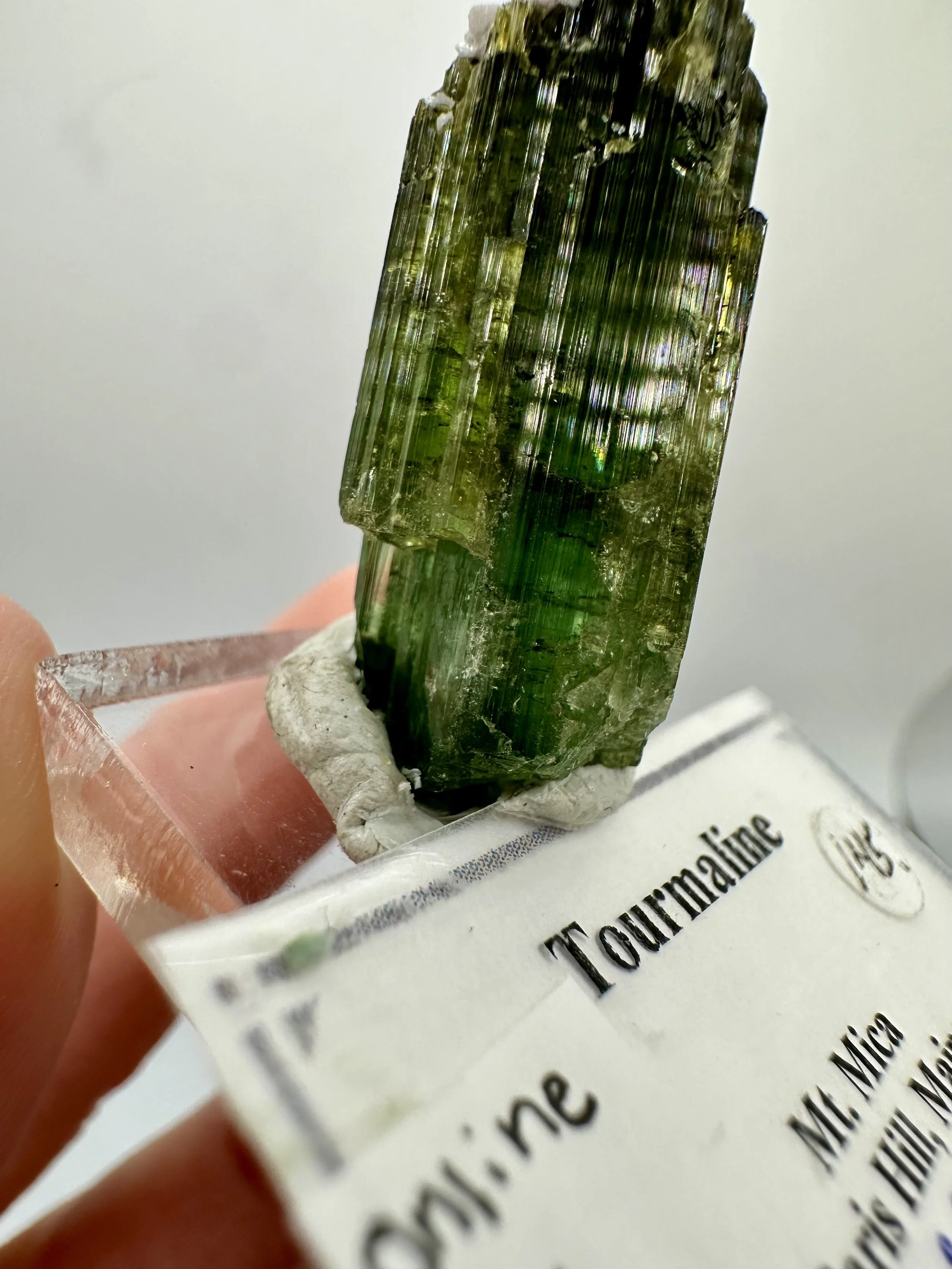 Photo Apr 04 2026, 2 47 09 PM.jpg