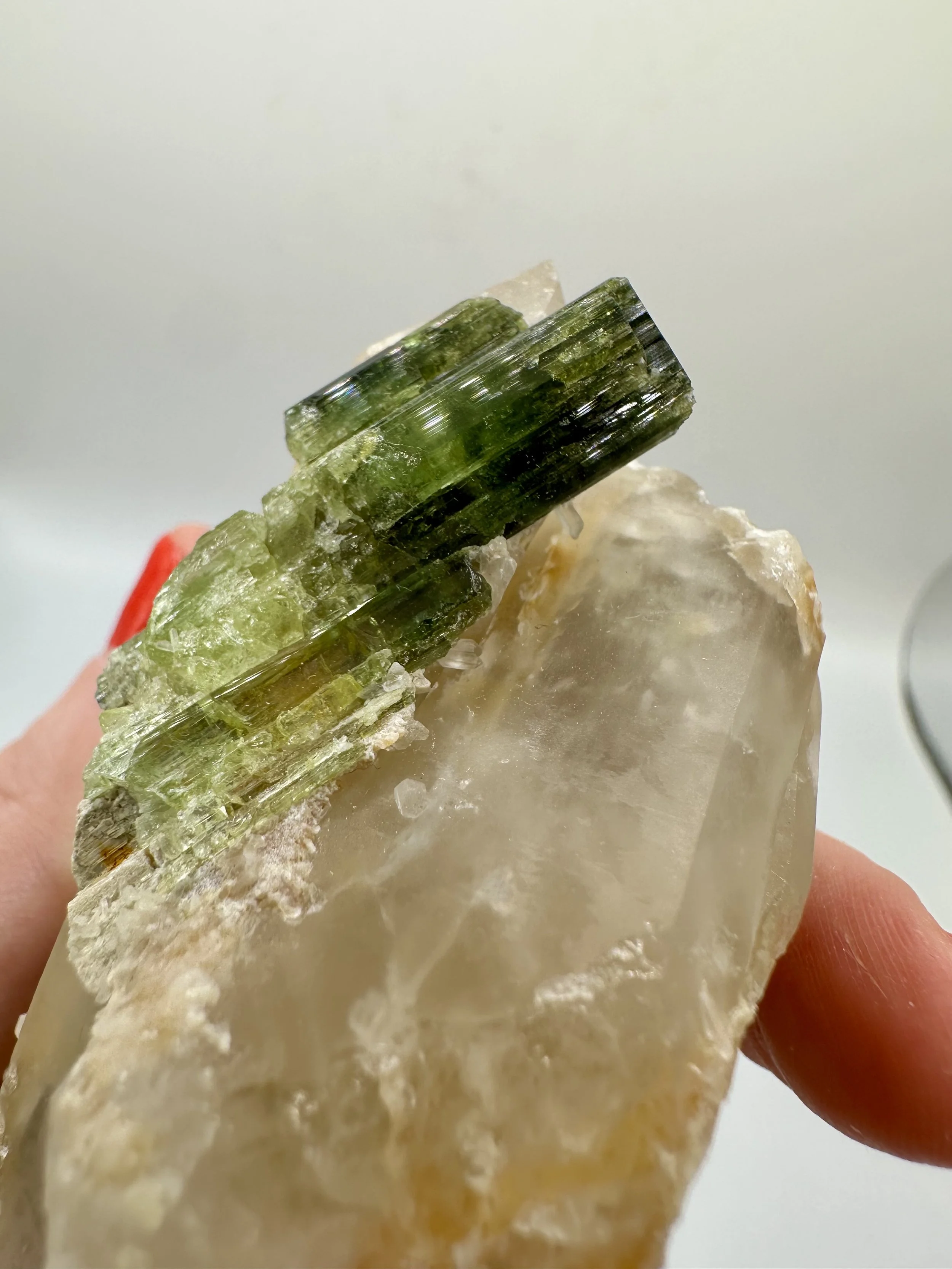 Photo Apr 04 2026, 2 43 29 PM.jpg