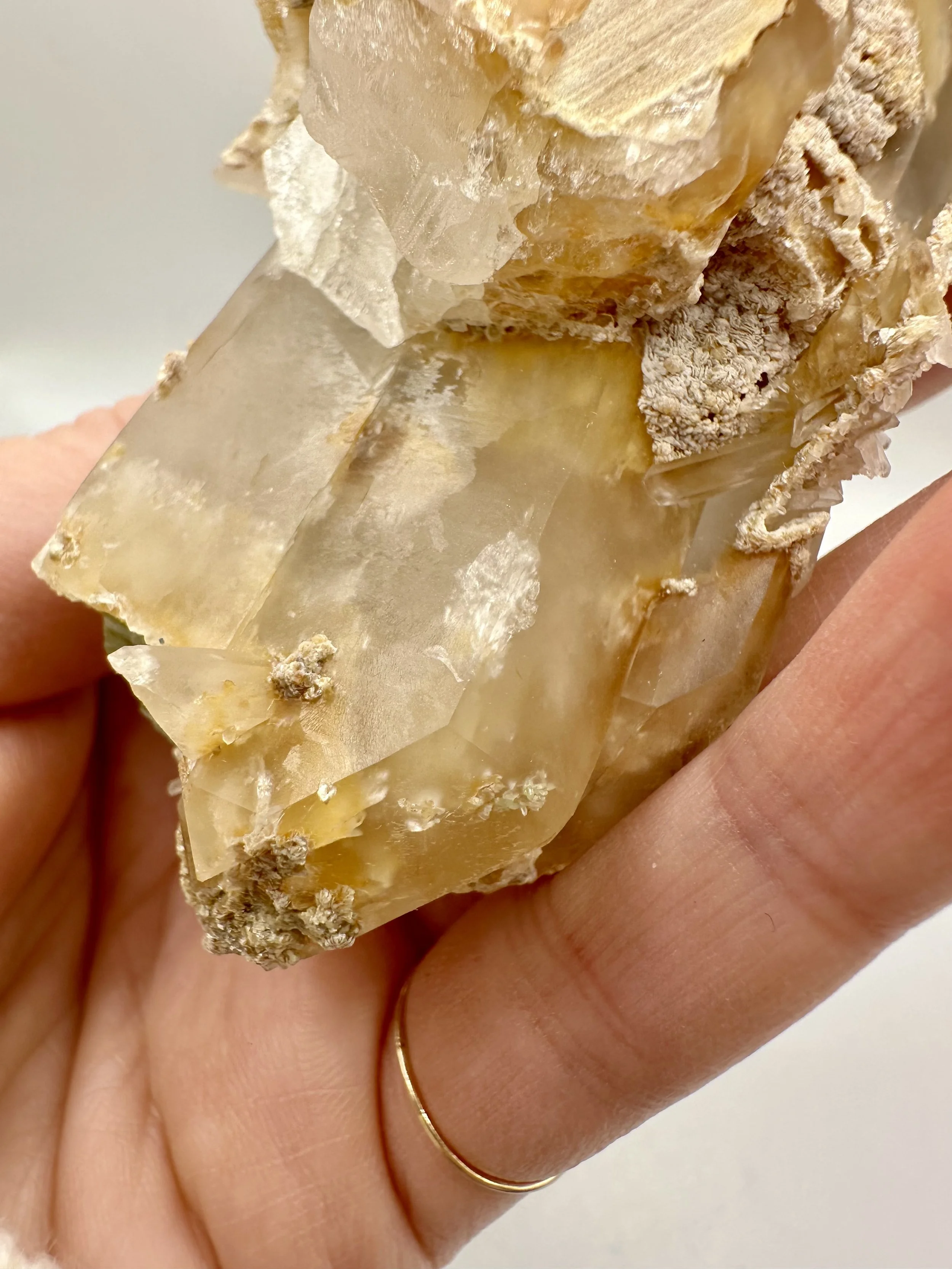 Photo Apr 04 2026, 2 42 58 PM.jpg