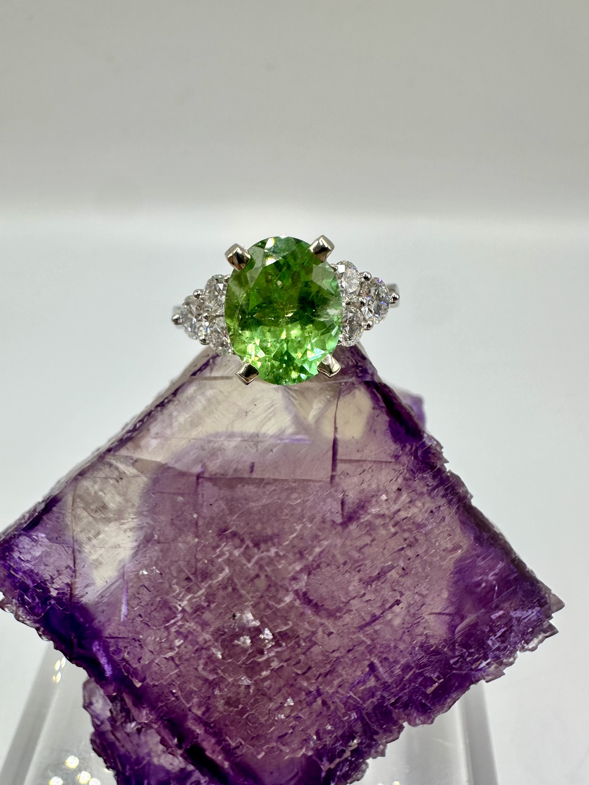 Photo Feb 14 2026, 12 00 21 PM.jpg