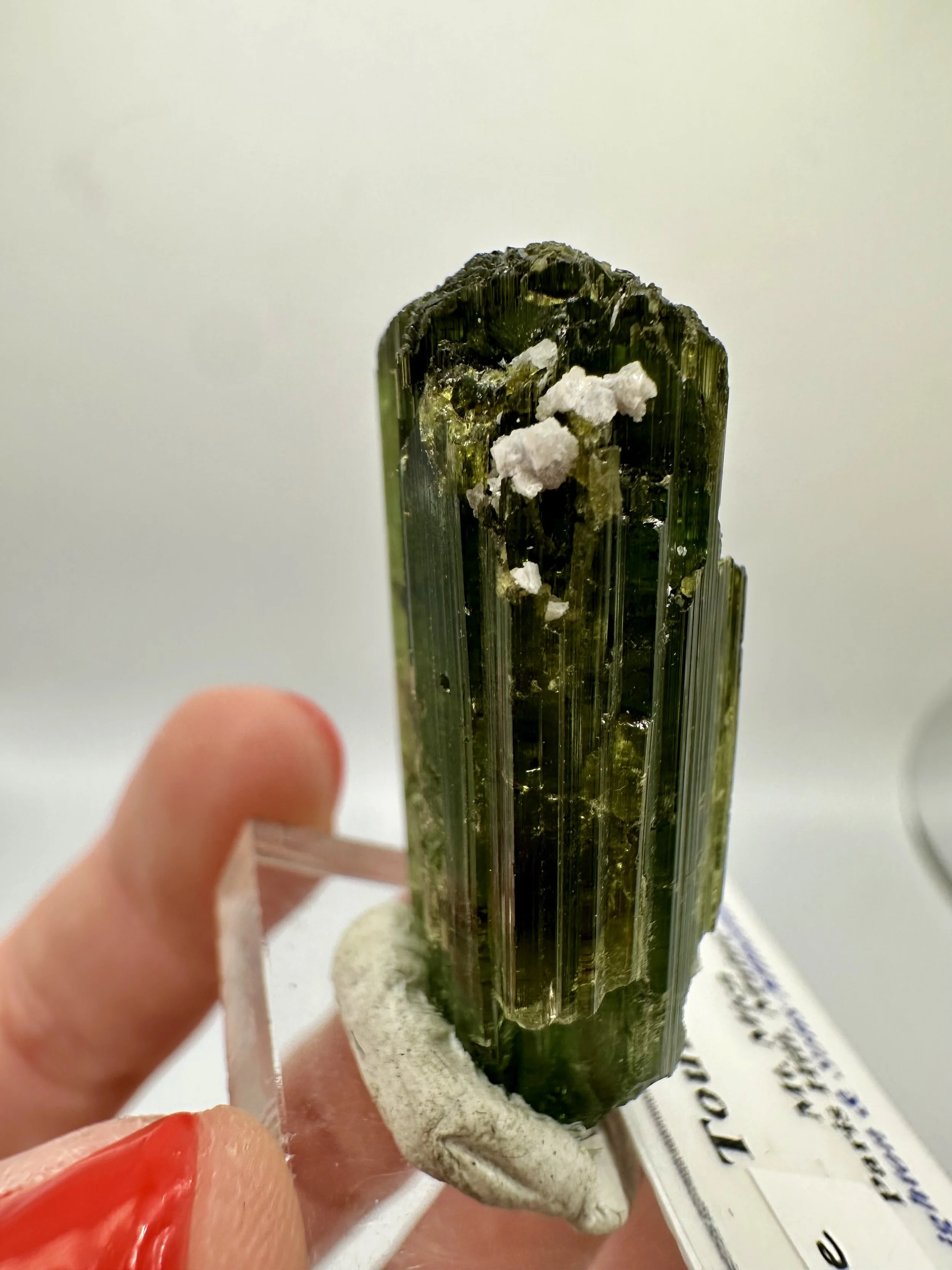 Photo Apr 04 2026, 2 47 11 PM.jpg