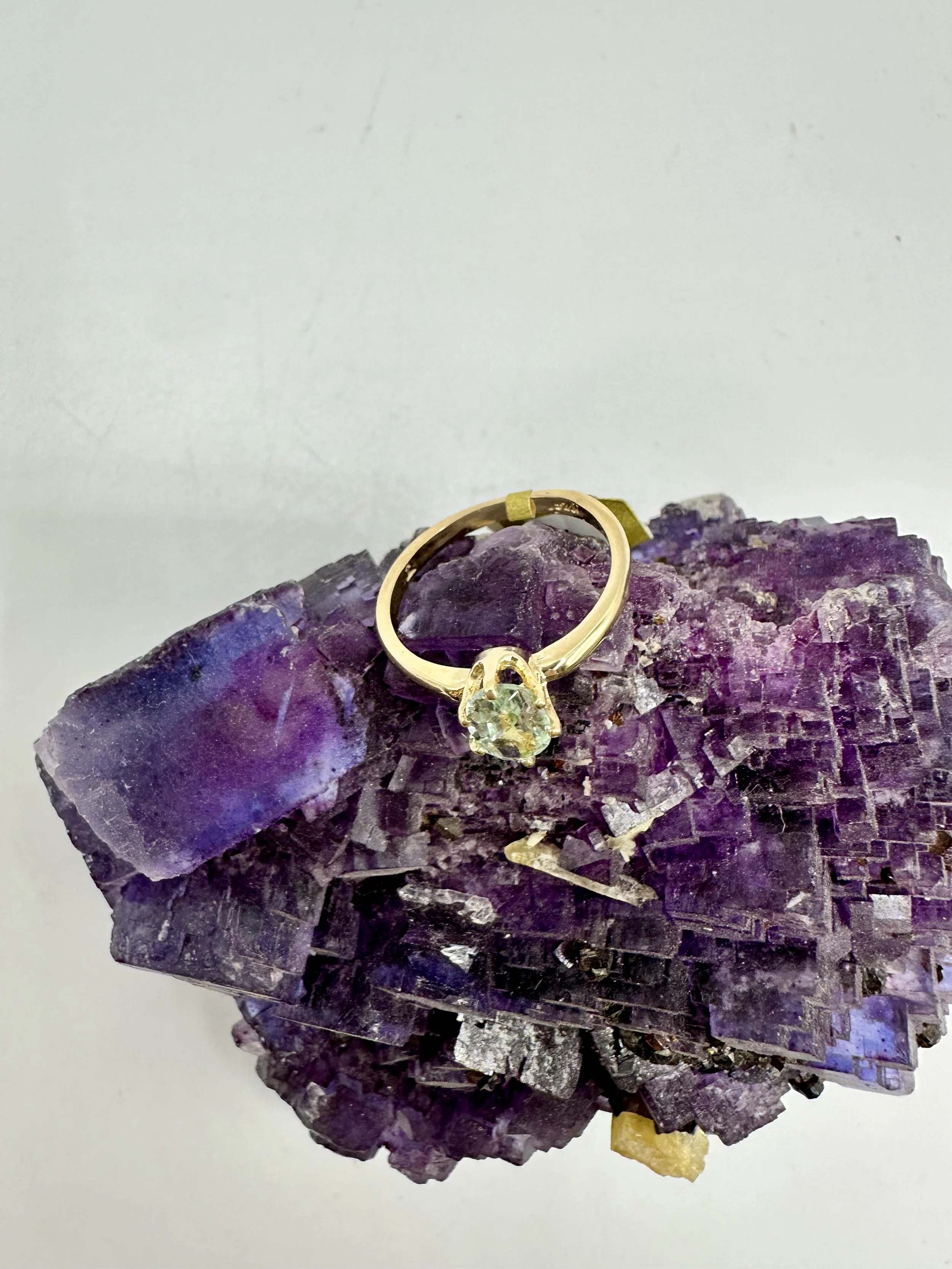 Photo Jan 10 2026, 3 33 45 PM.jpg