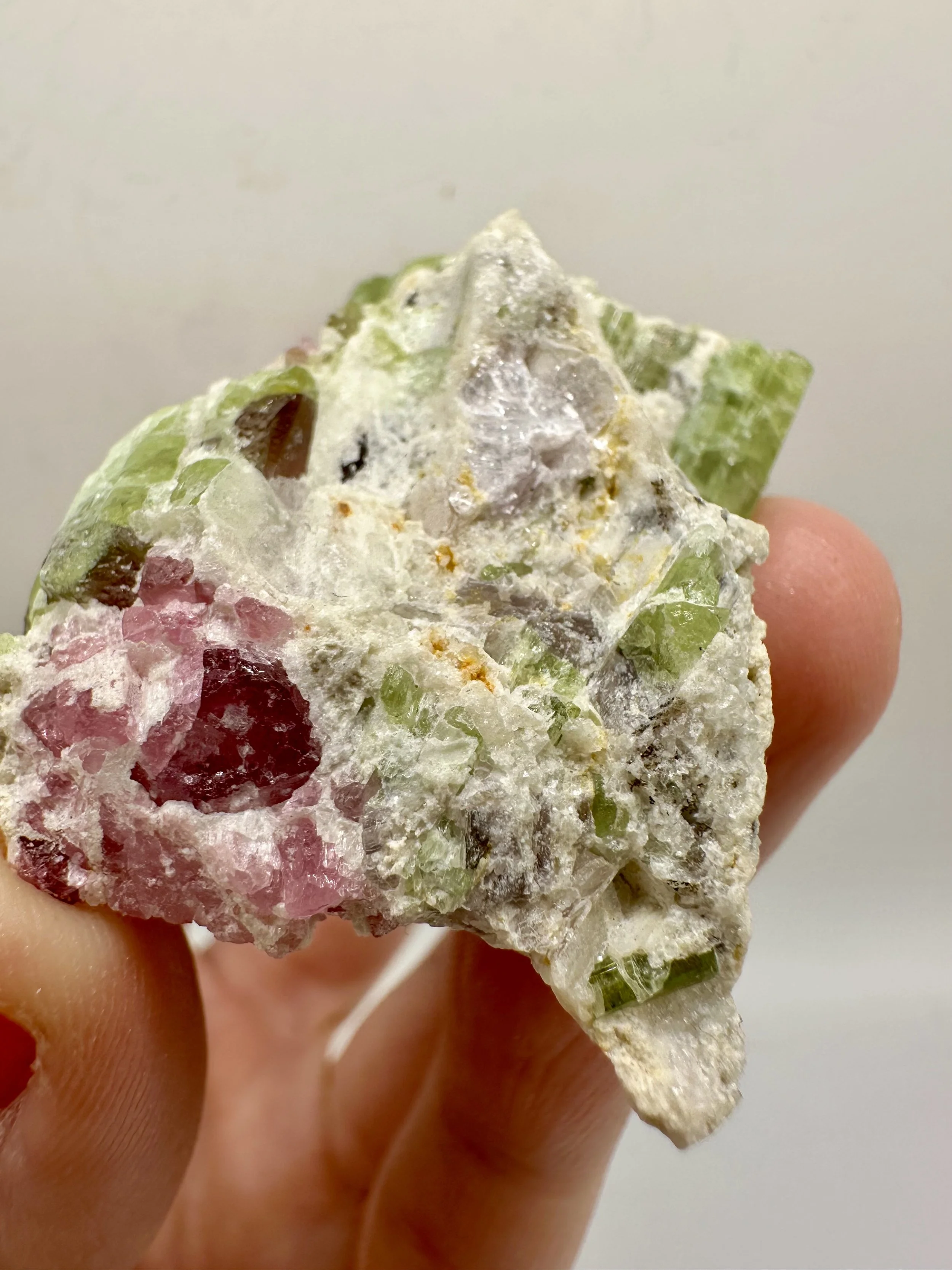 Photo Apr 04 2026, 2 50 23 PM.jpg