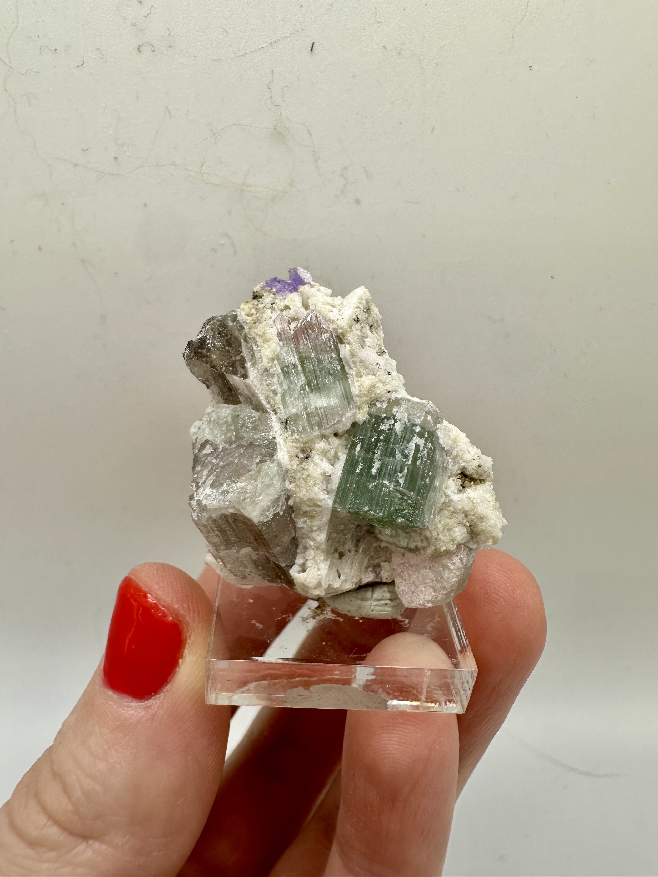 Photo Apr 04 2026, 2 54 19 PM.jpg