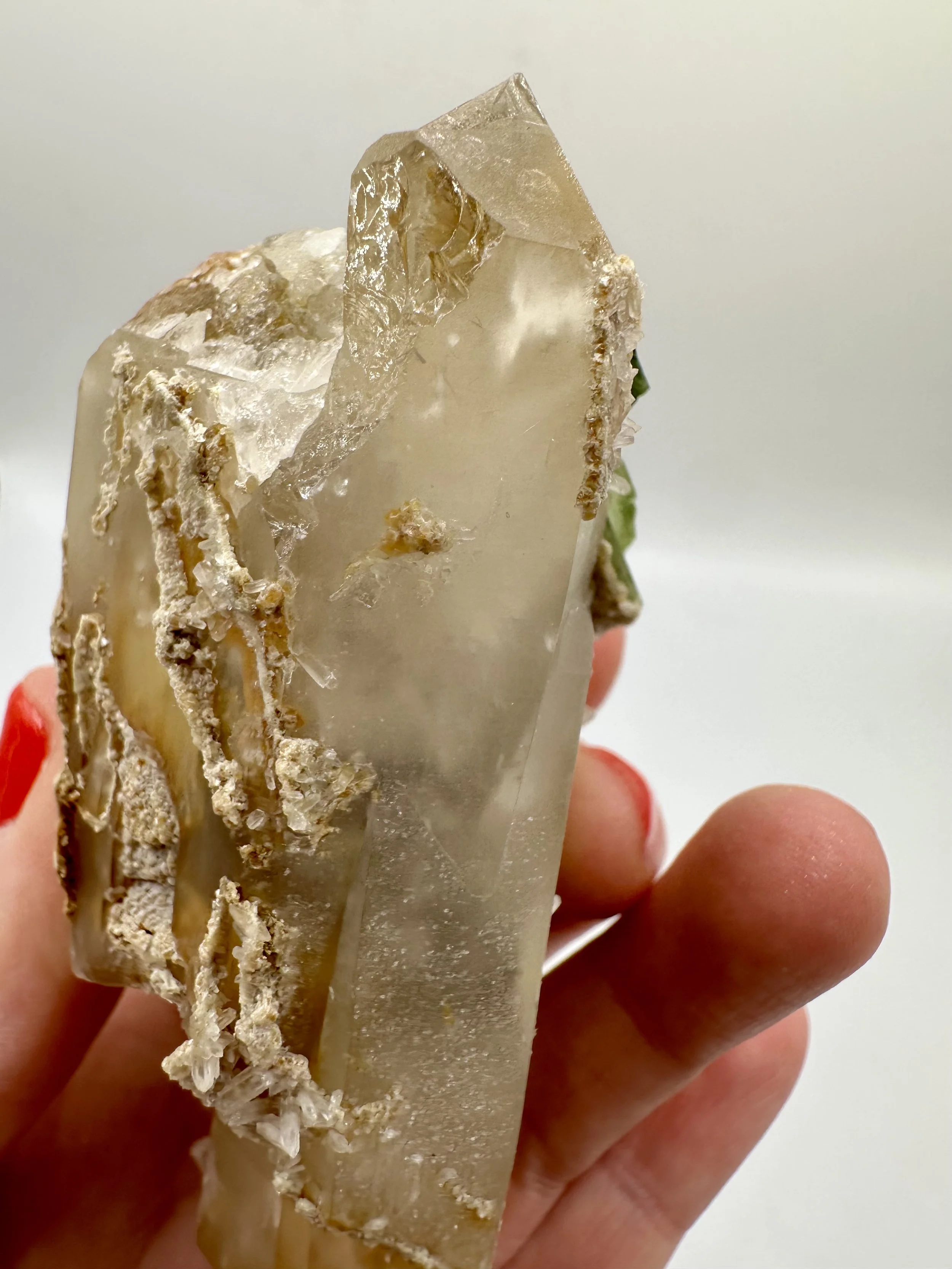 Photo Apr 04 2026, 2 43 15 PM.jpg