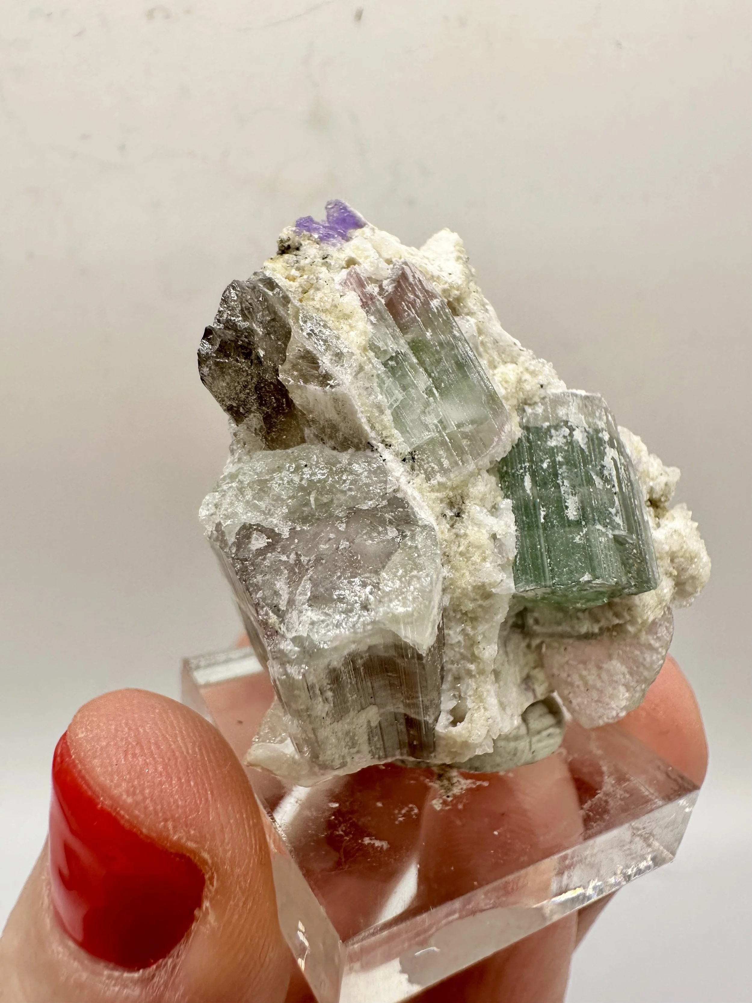 Photo Apr 04 2026, 2 54 25 PM.jpg