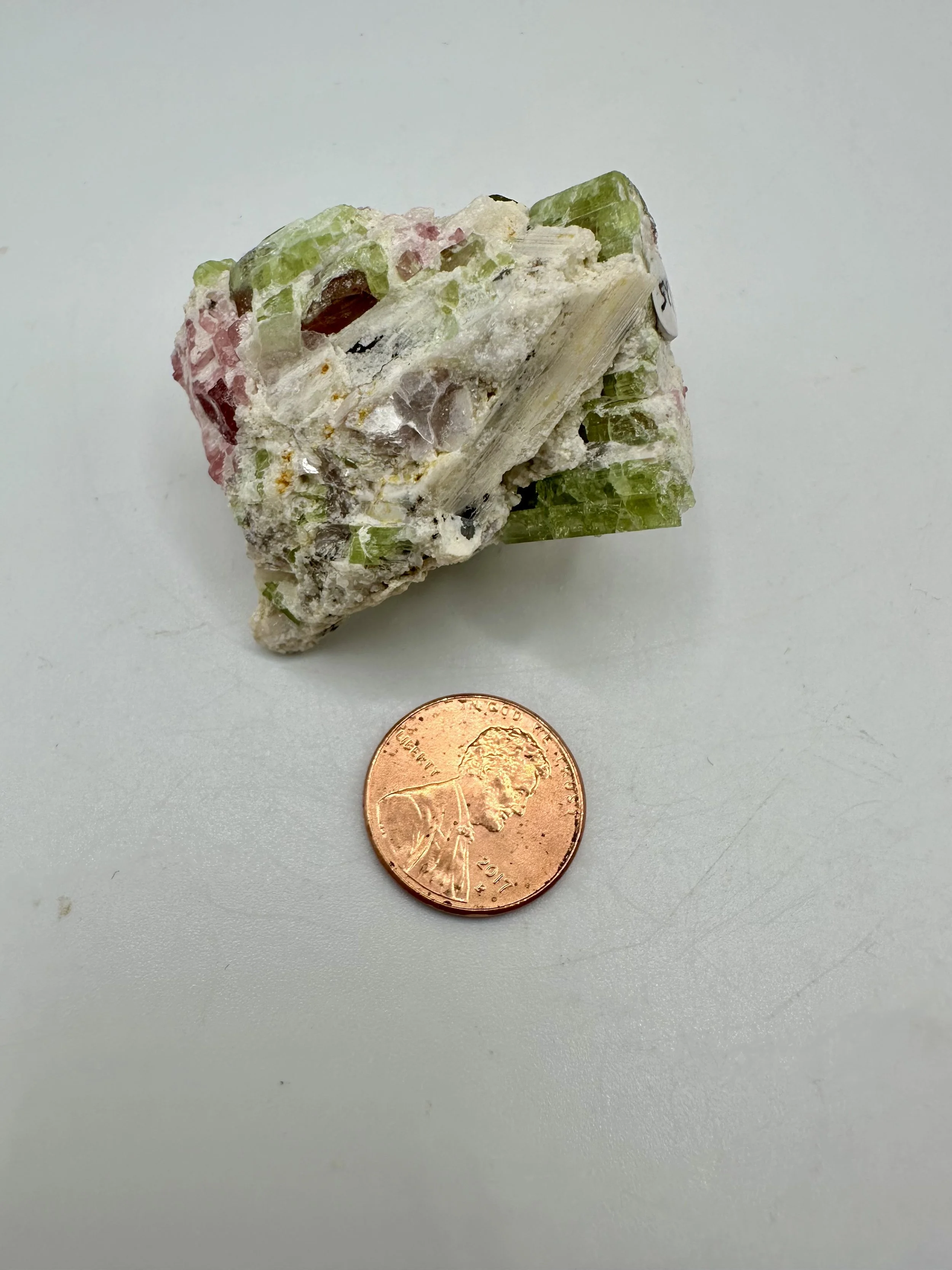 Photo Apr 04 2026, 2 50 01 PM.jpg