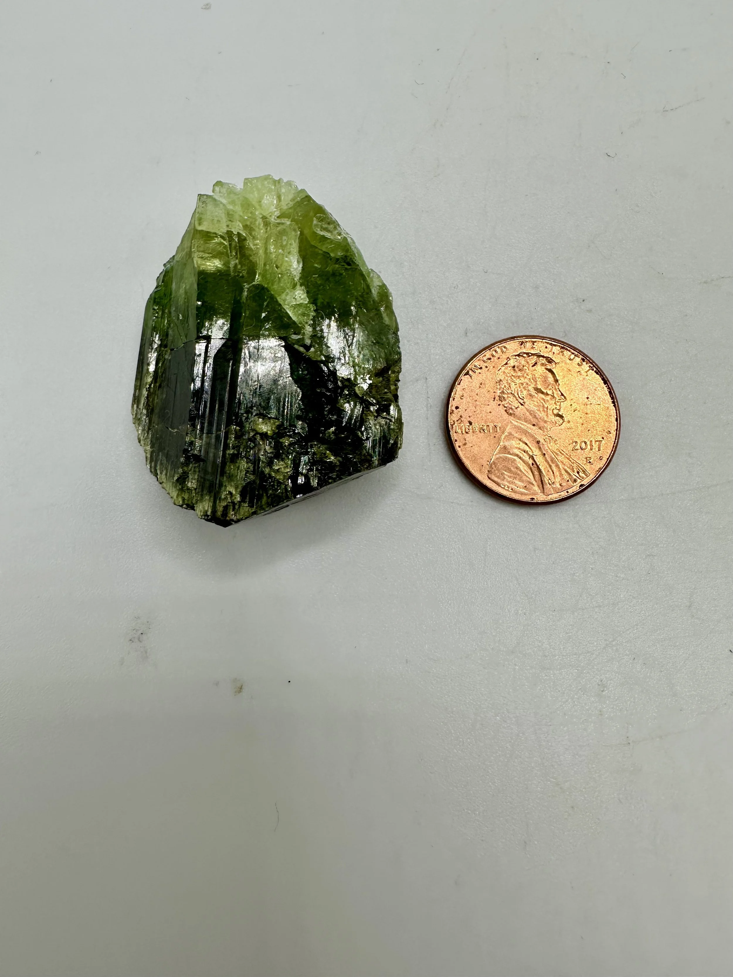 Photo Apr 04 2026, 2 36 51 PM.jpg