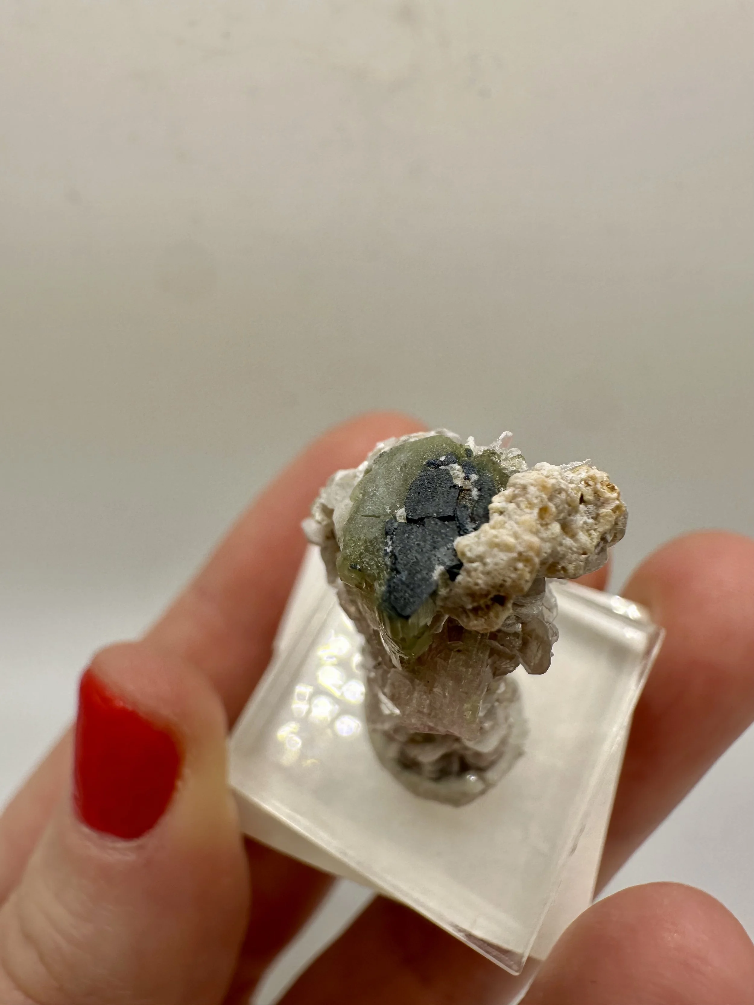 Photo Apr 04 2026, 2 52 39 PM.jpg