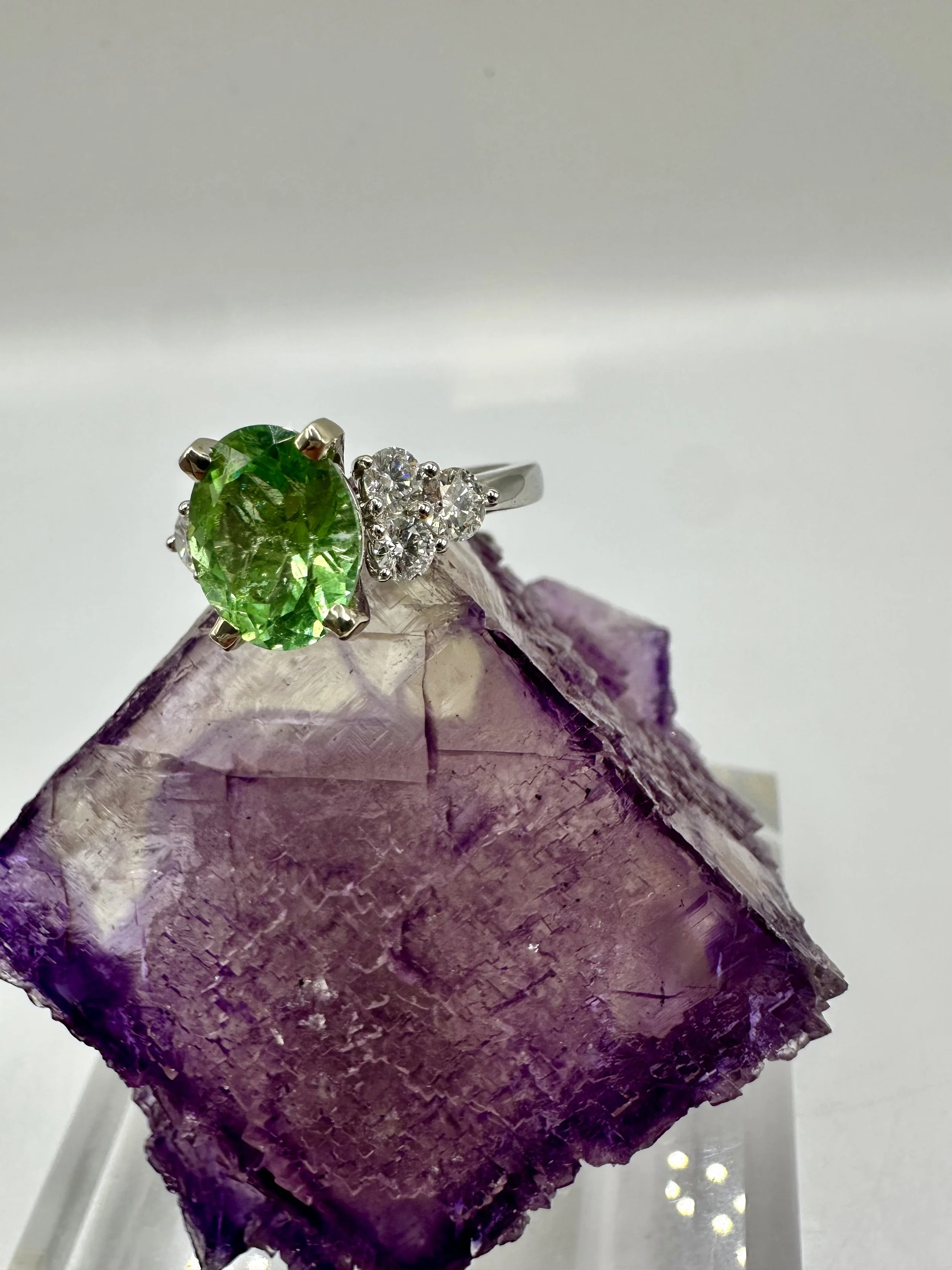 Photo Feb 14 2026, 12 00 24 PM.jpg