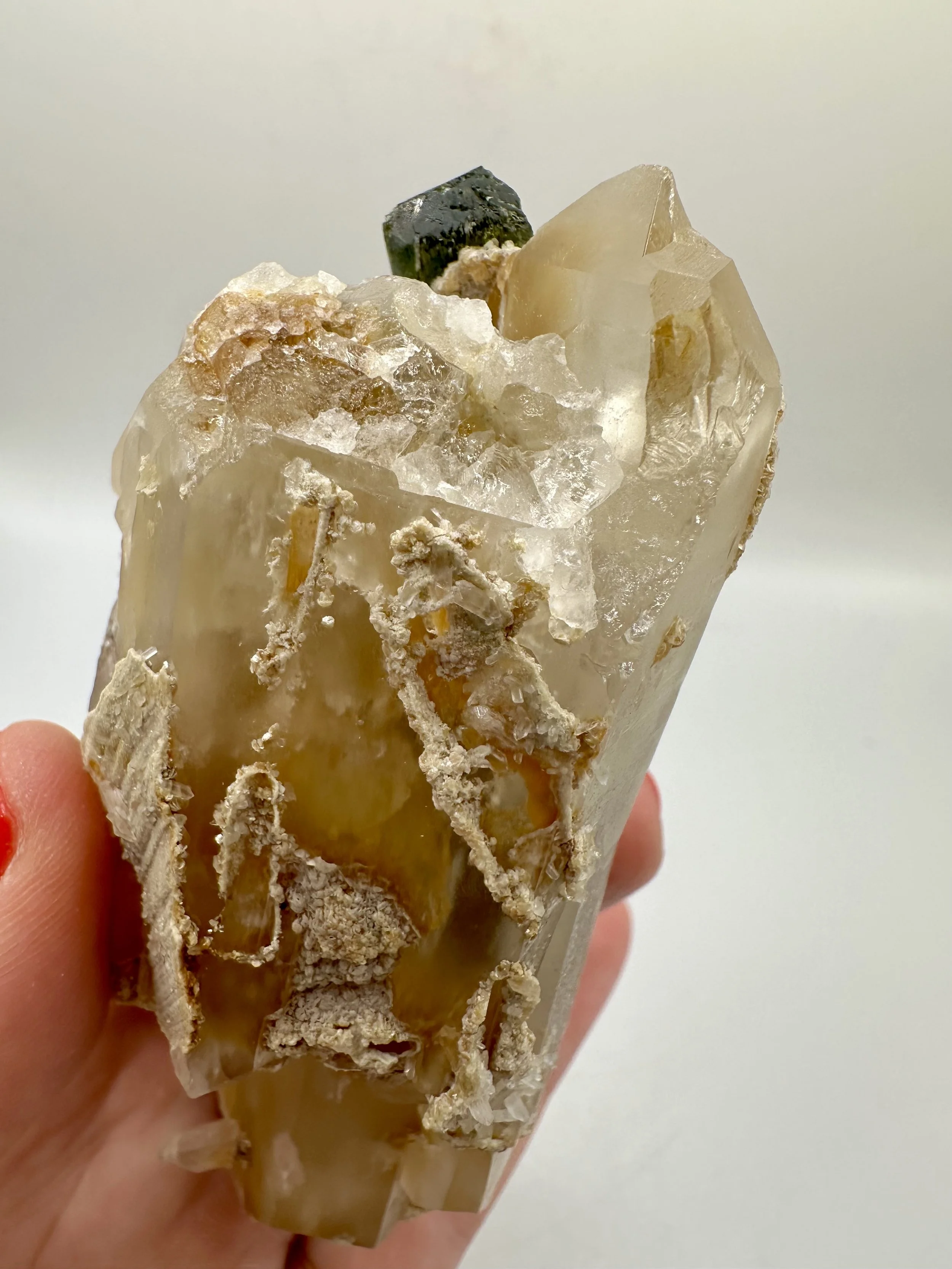 Photo Apr 04 2026, 2 43 14 PM.jpg