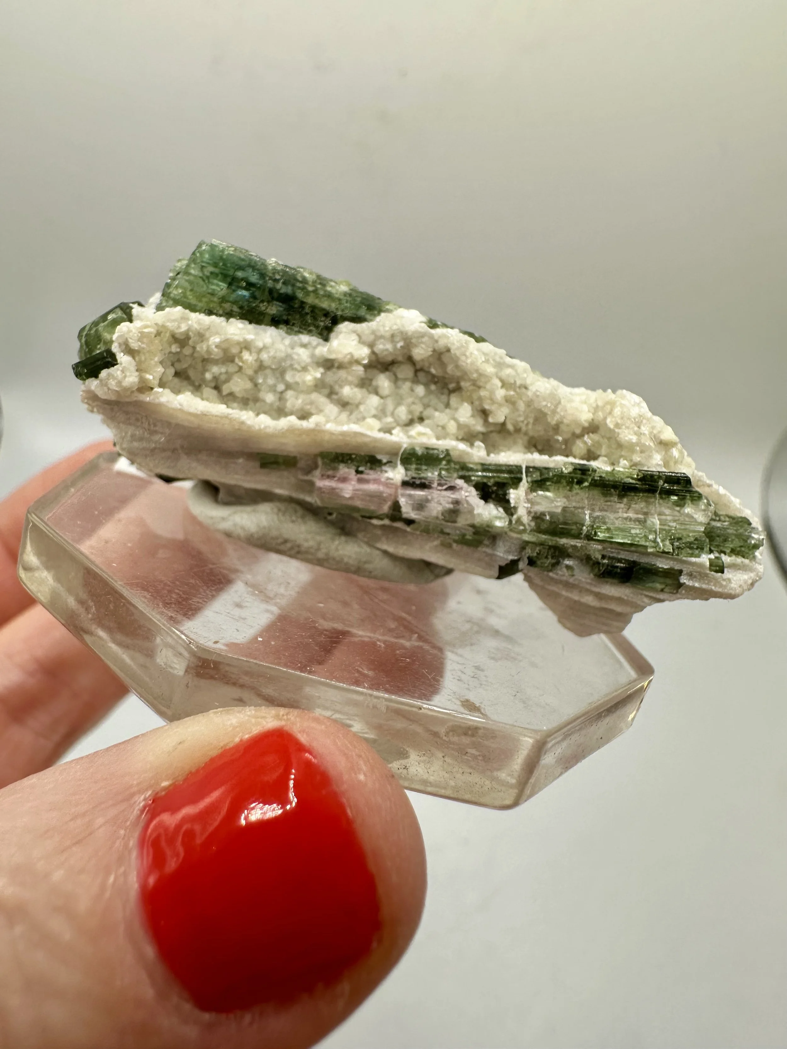 Photo Apr 04 2026, 2 46 06 PM.jpg