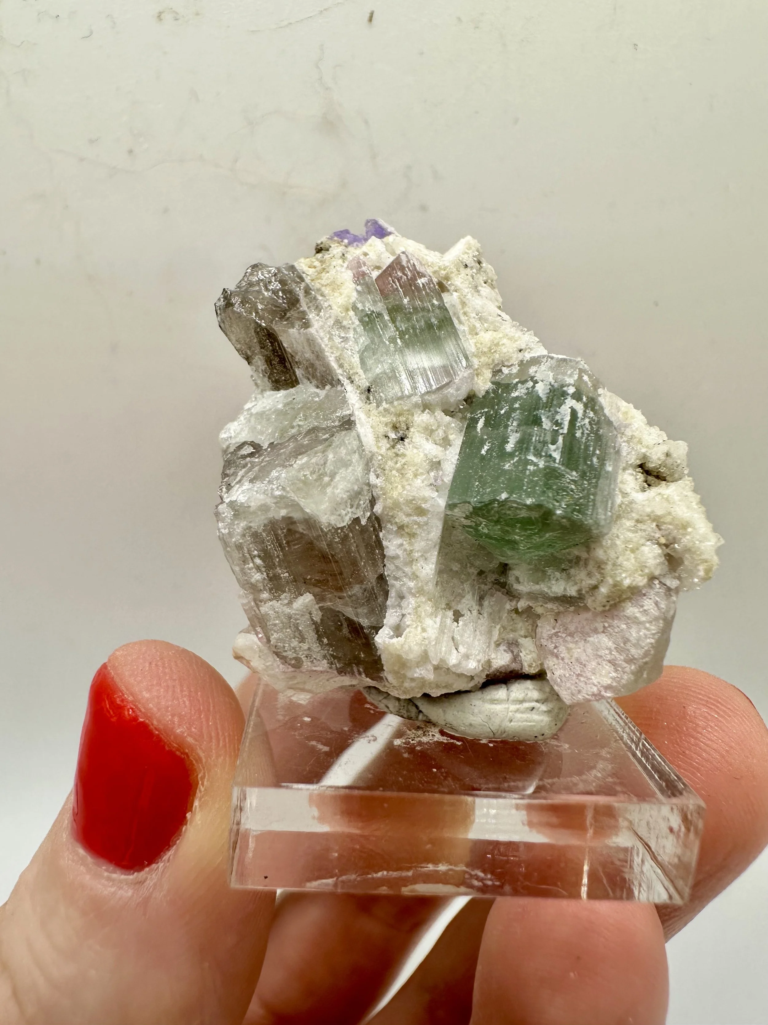 Photo Apr 04 2026, 2 54 23 PM.jpg