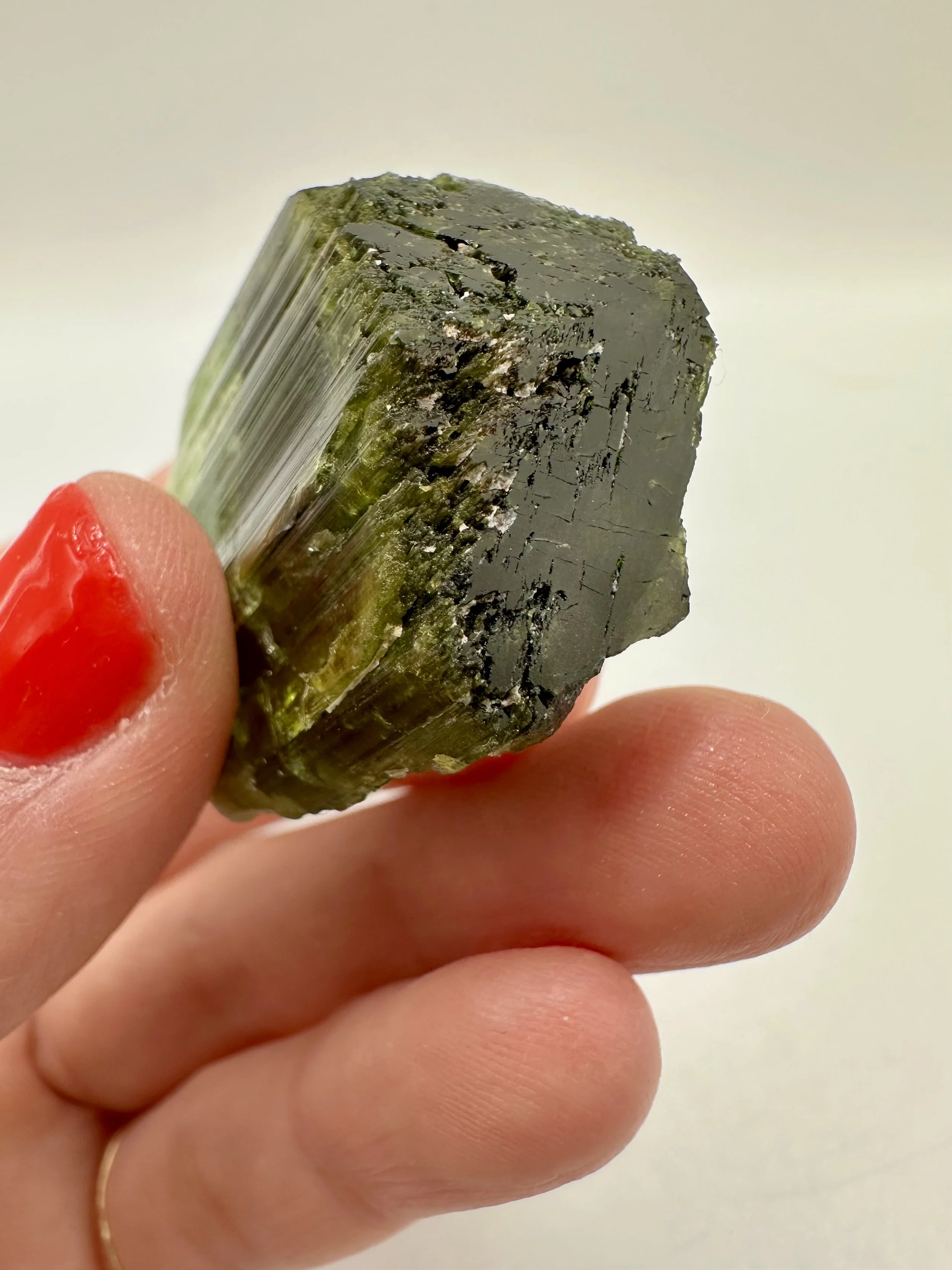 Photo Apr 04 2026, 2 37 12 PM.jpg