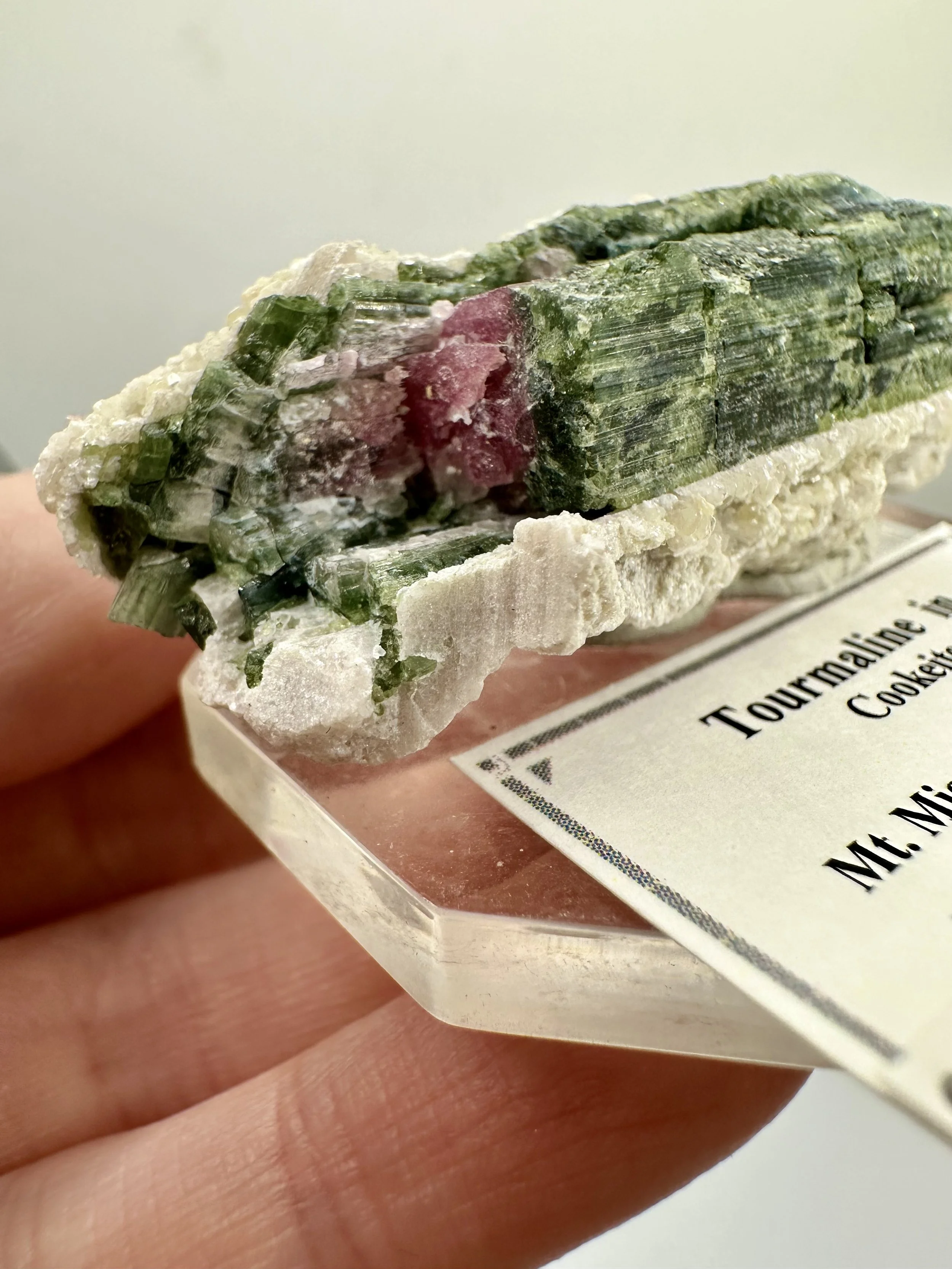 Photo Apr 04 2026, 2 45 43 PM.jpg