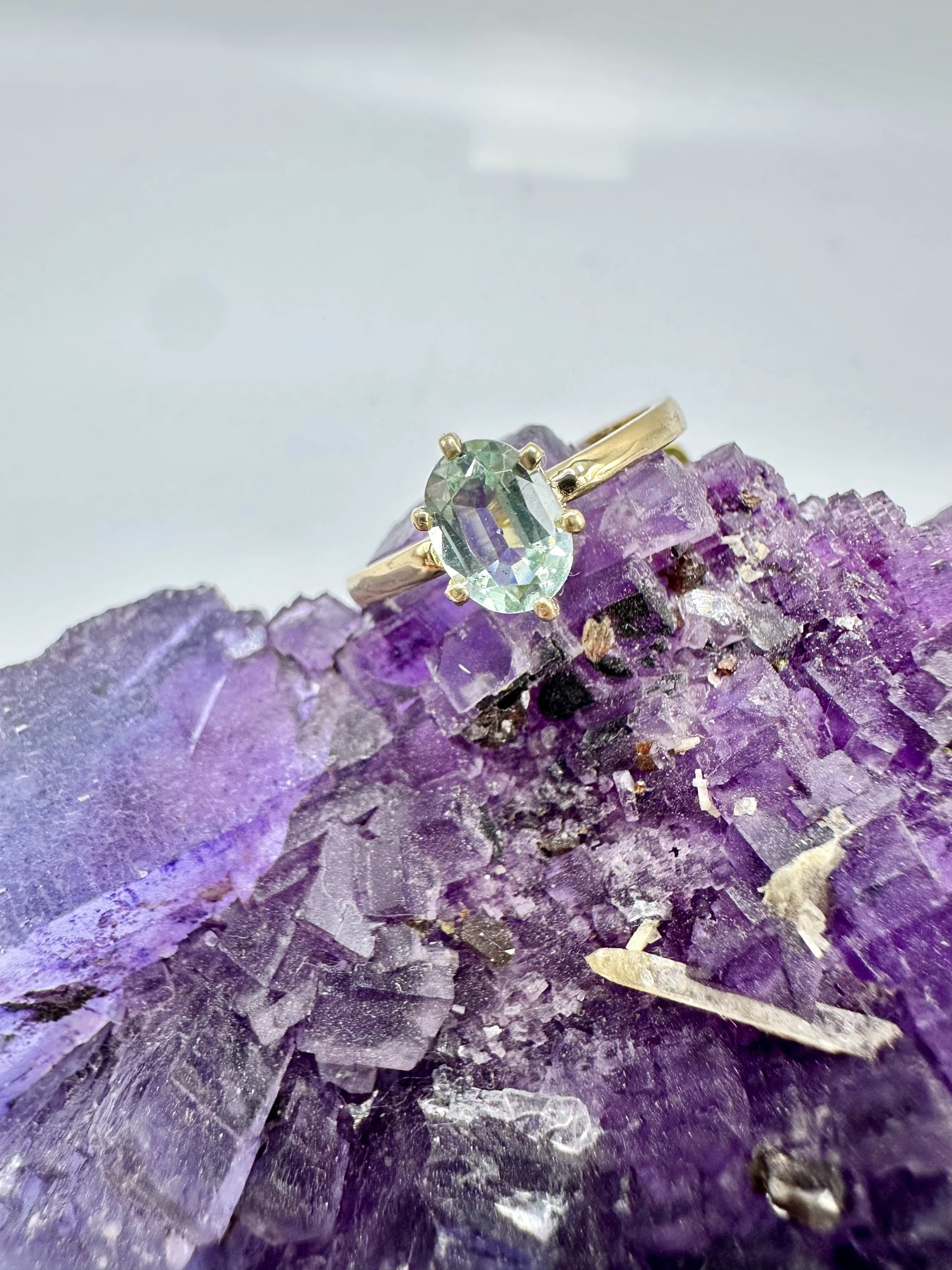 Photo Jan 10 2026, 3 33 52 PM.jpg