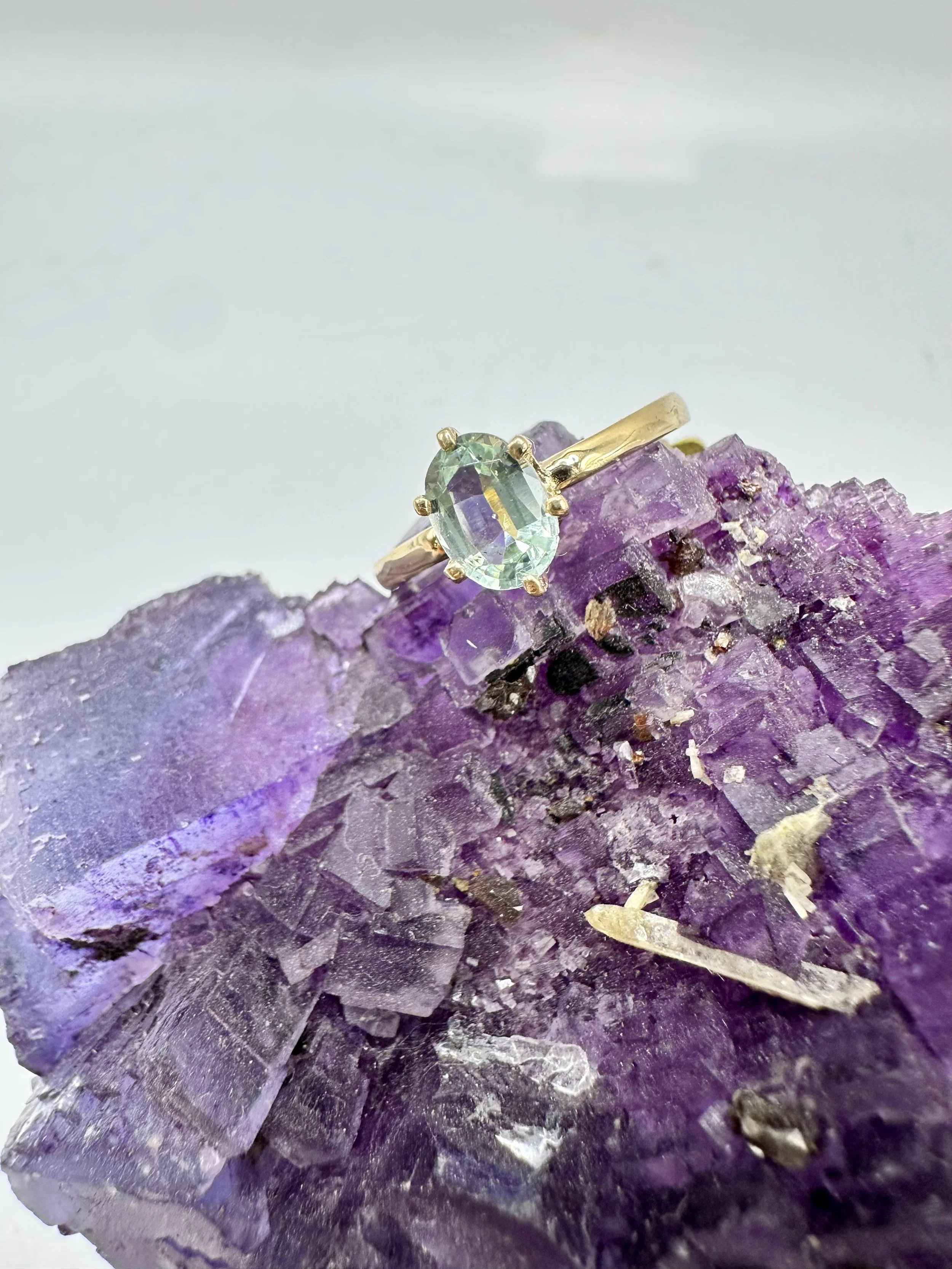 Photo Jan 10 2026, 3 33 56 PM.jpg