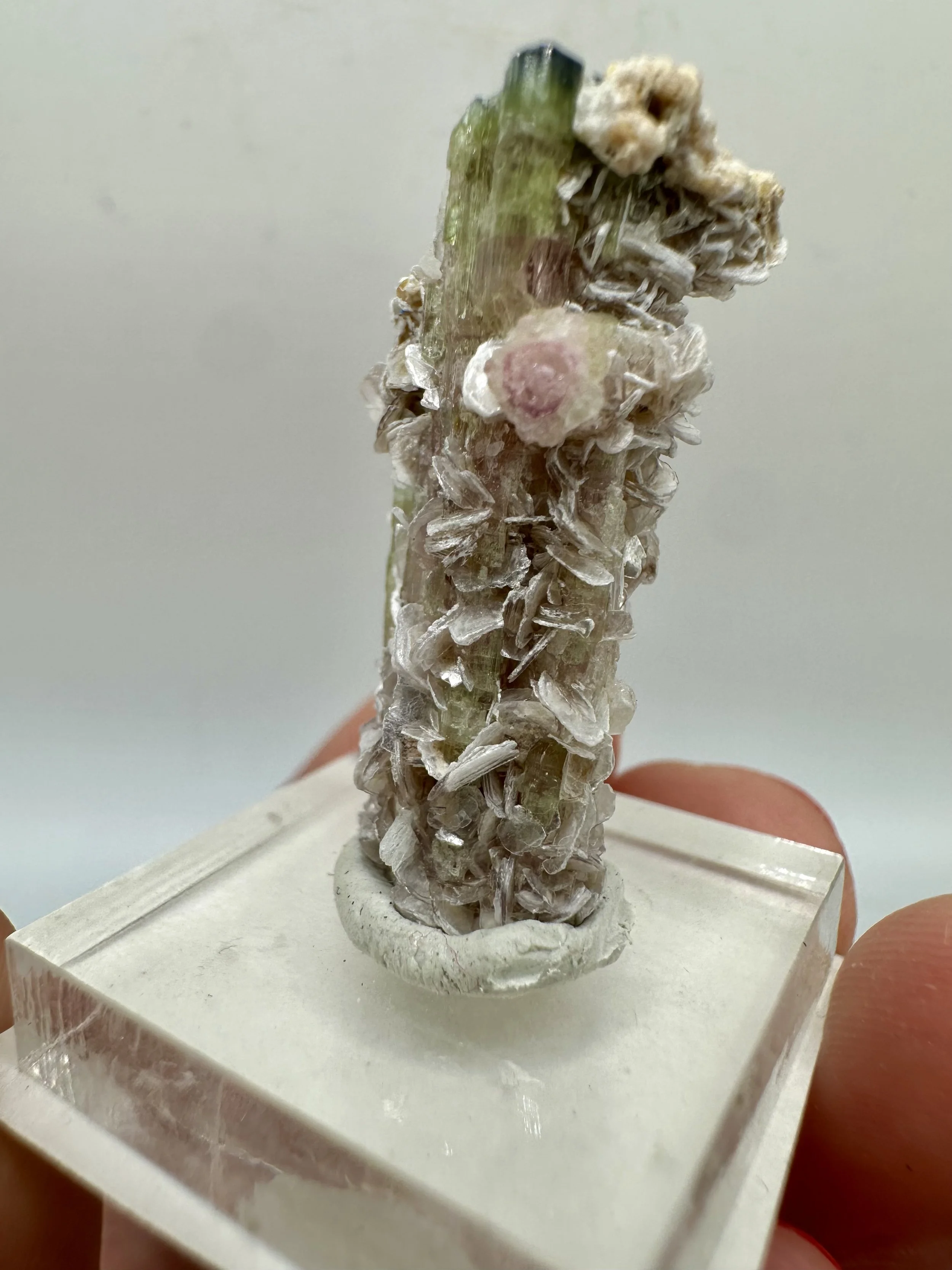 Photo Apr 04 2026, 2 52 28 PM.jpg