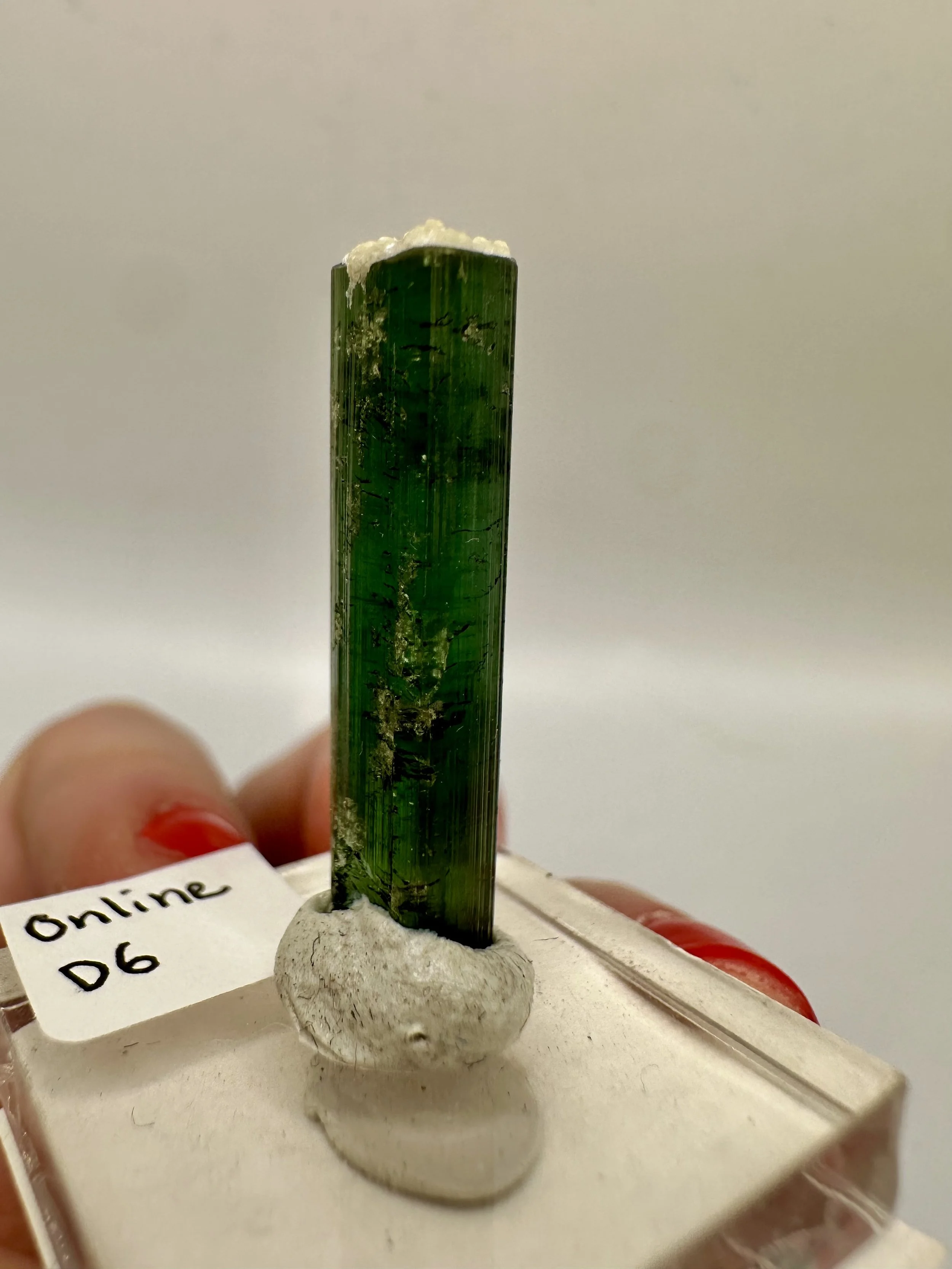 Photo Apr 04 2026, 2 48 29 PM.jpg