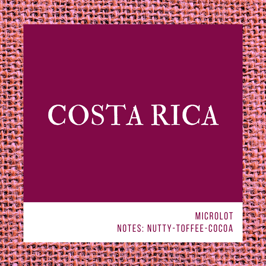 Cypress Street Roasters Costa Rica — Cypress Street Roasters