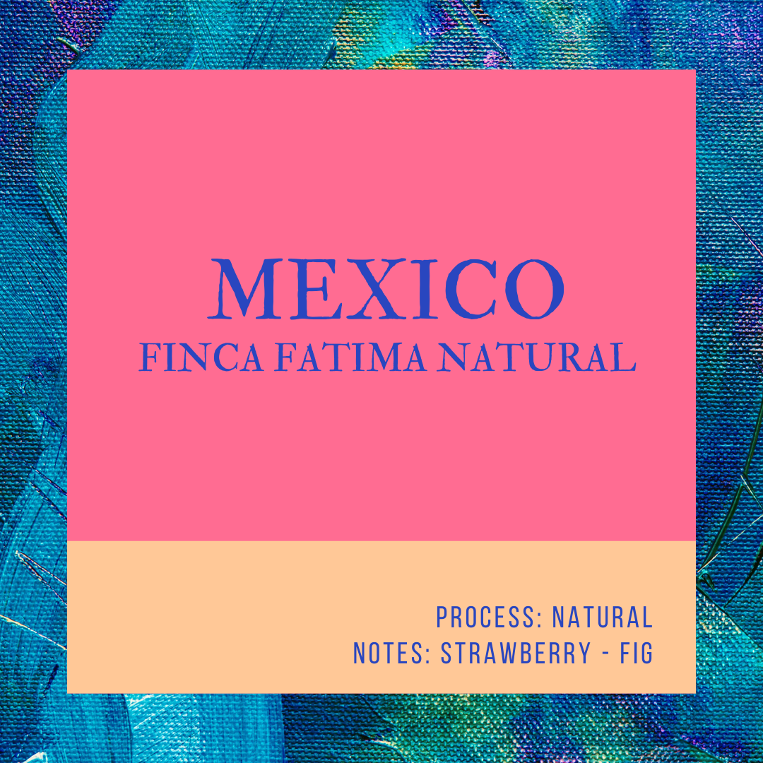 Mexico Fatima Natural.png