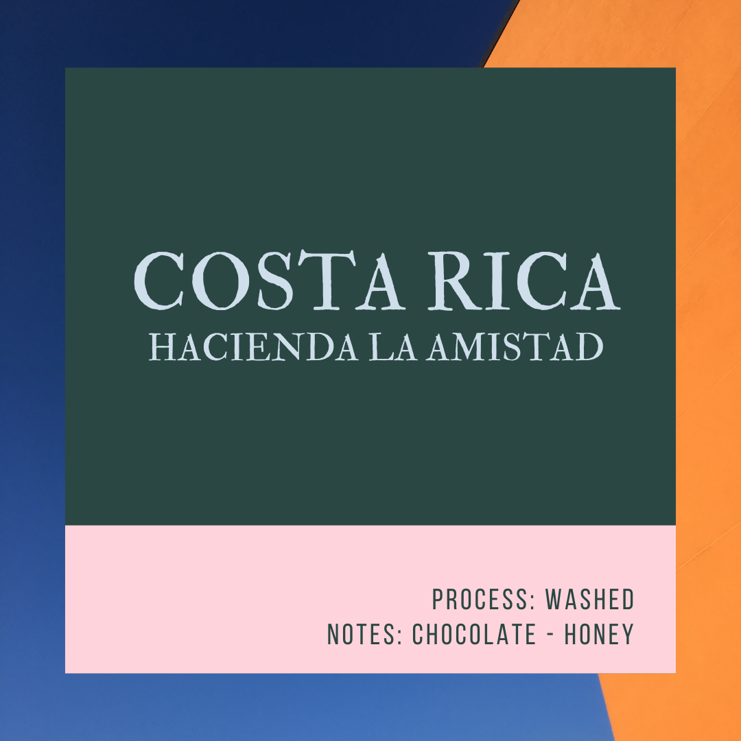COSTA RICA HACIENDA LA AMISTAD
