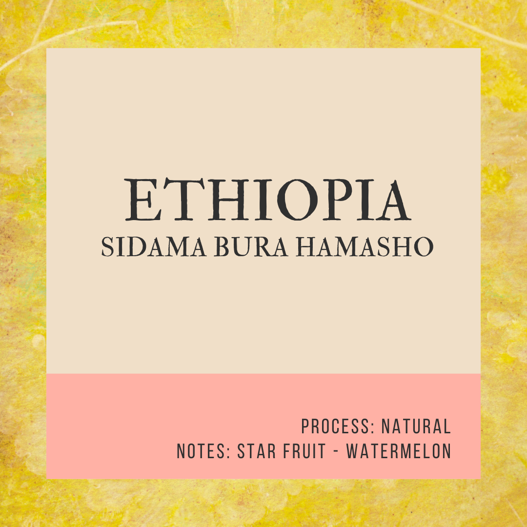 ETHIOPIA SIDAMA BURA HAMASHO