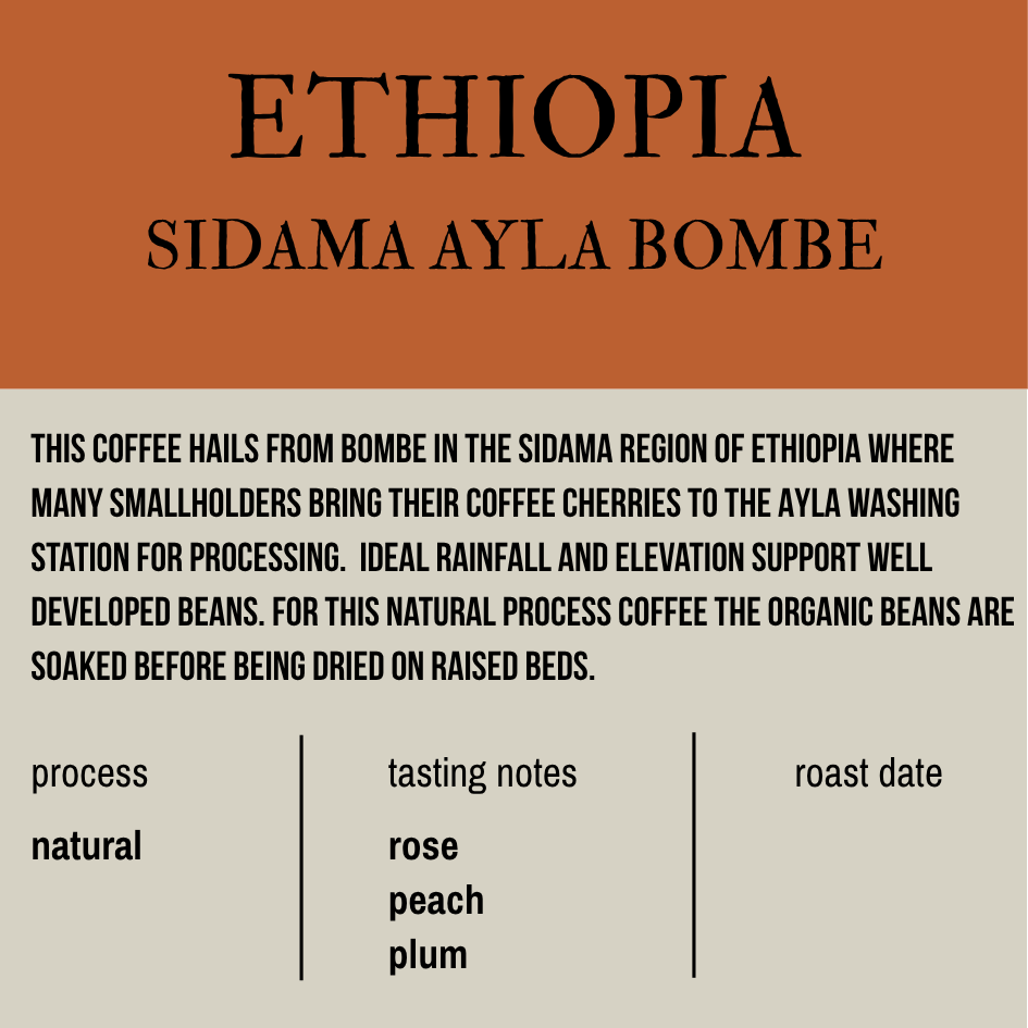 Ethiopia Sidama Ayla Bombe