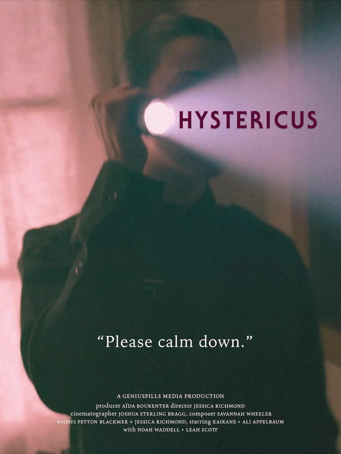 A person holding a flashlight in front of their face with the beam directed into the camera. The word 'HYSTERICUS' appears over the flashlight beam. Below, there is a quote saying 'Please calm down.' and credits for a media production.
