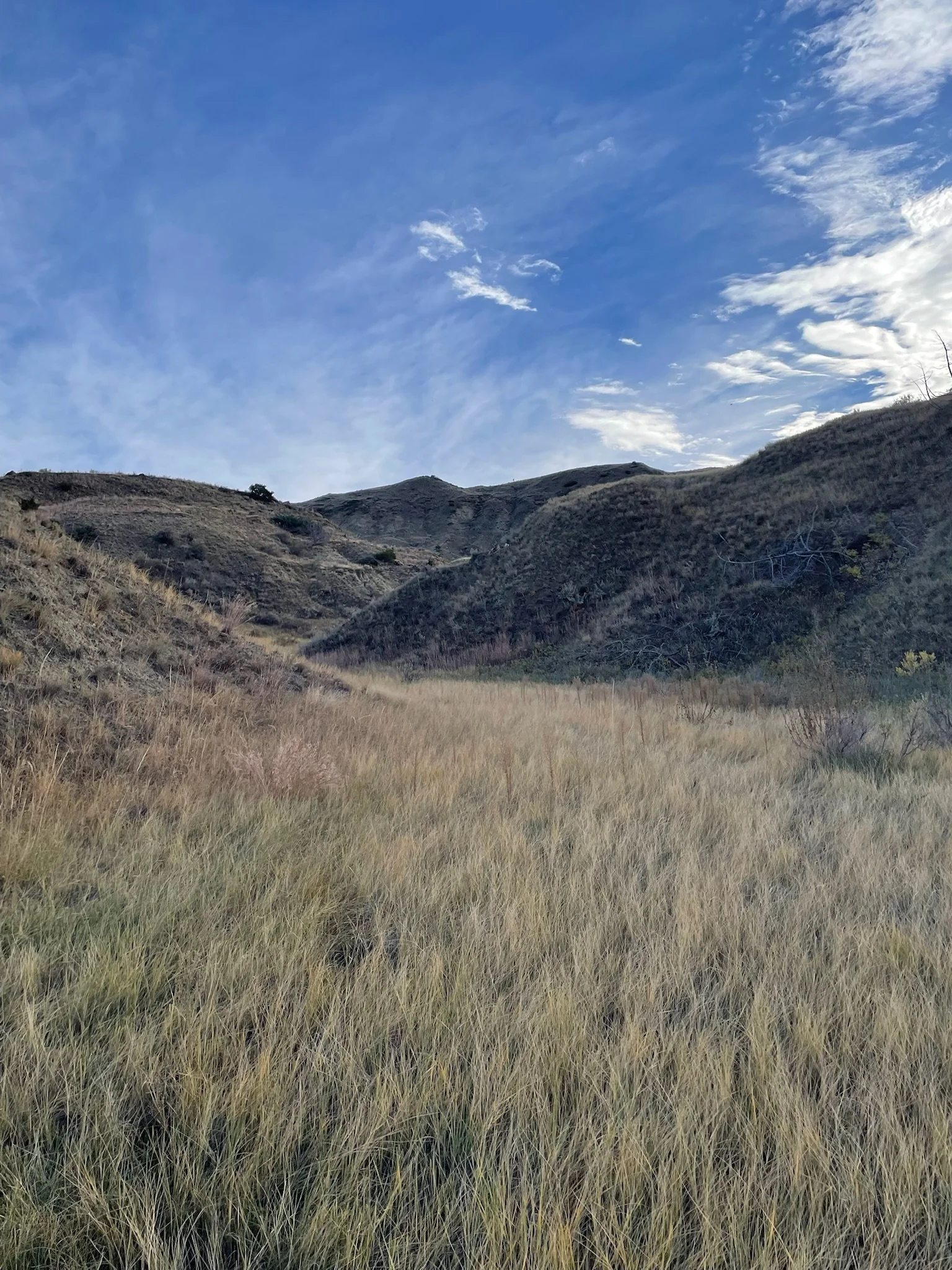 Celebrating 45 Years of Trusted Filtration Solutions