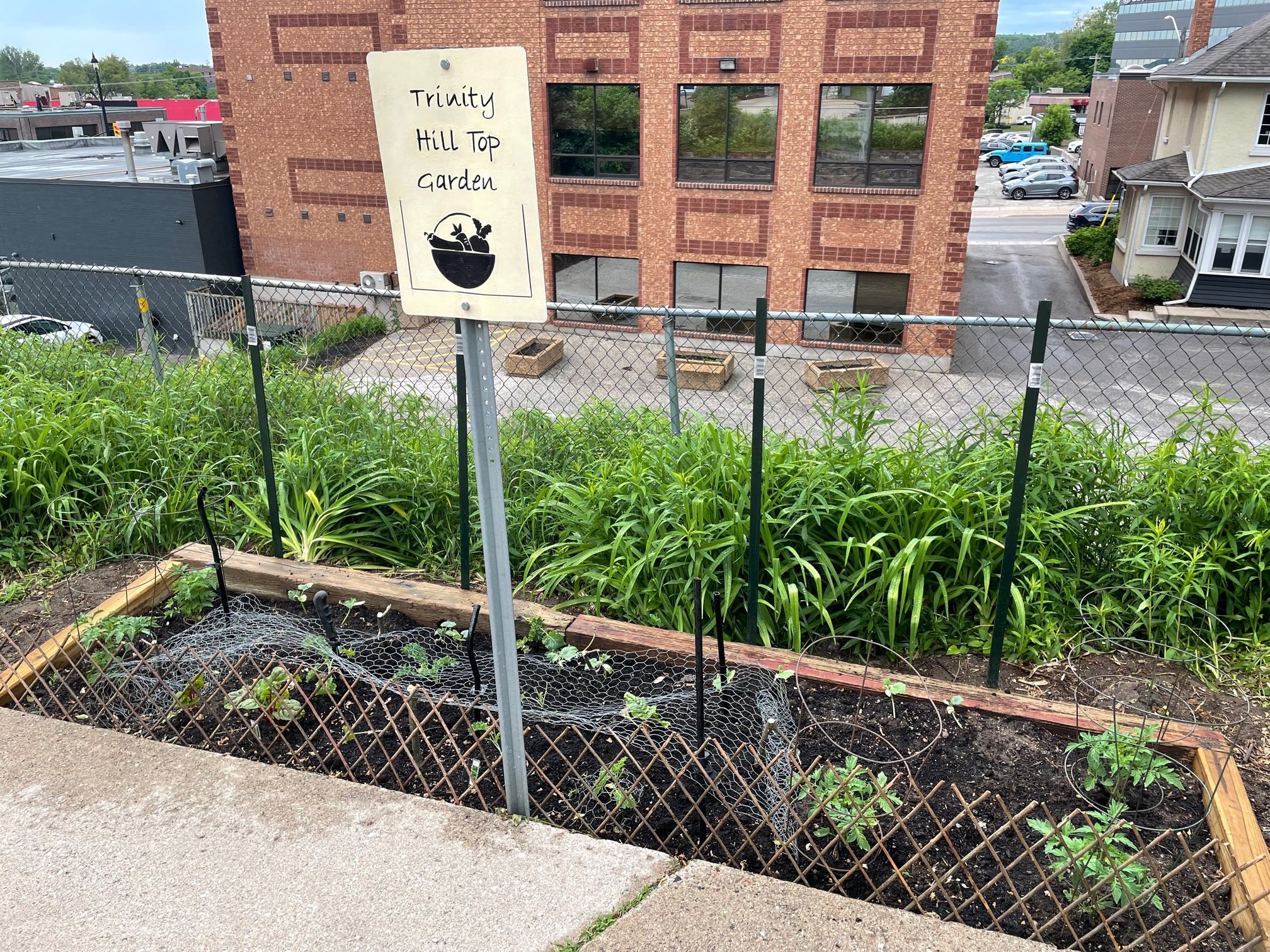 Trinity Hill Top Community Garden.jpg