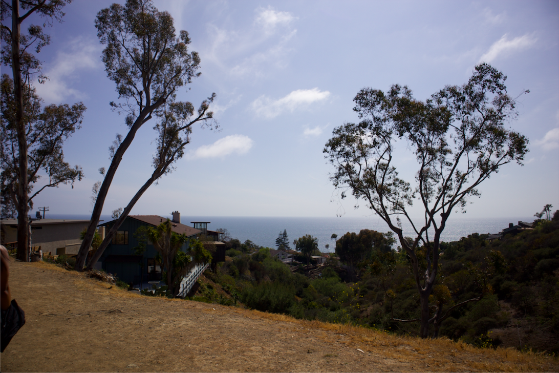 Screen Shot 2022-11-13 at 12.29.00 PM.png