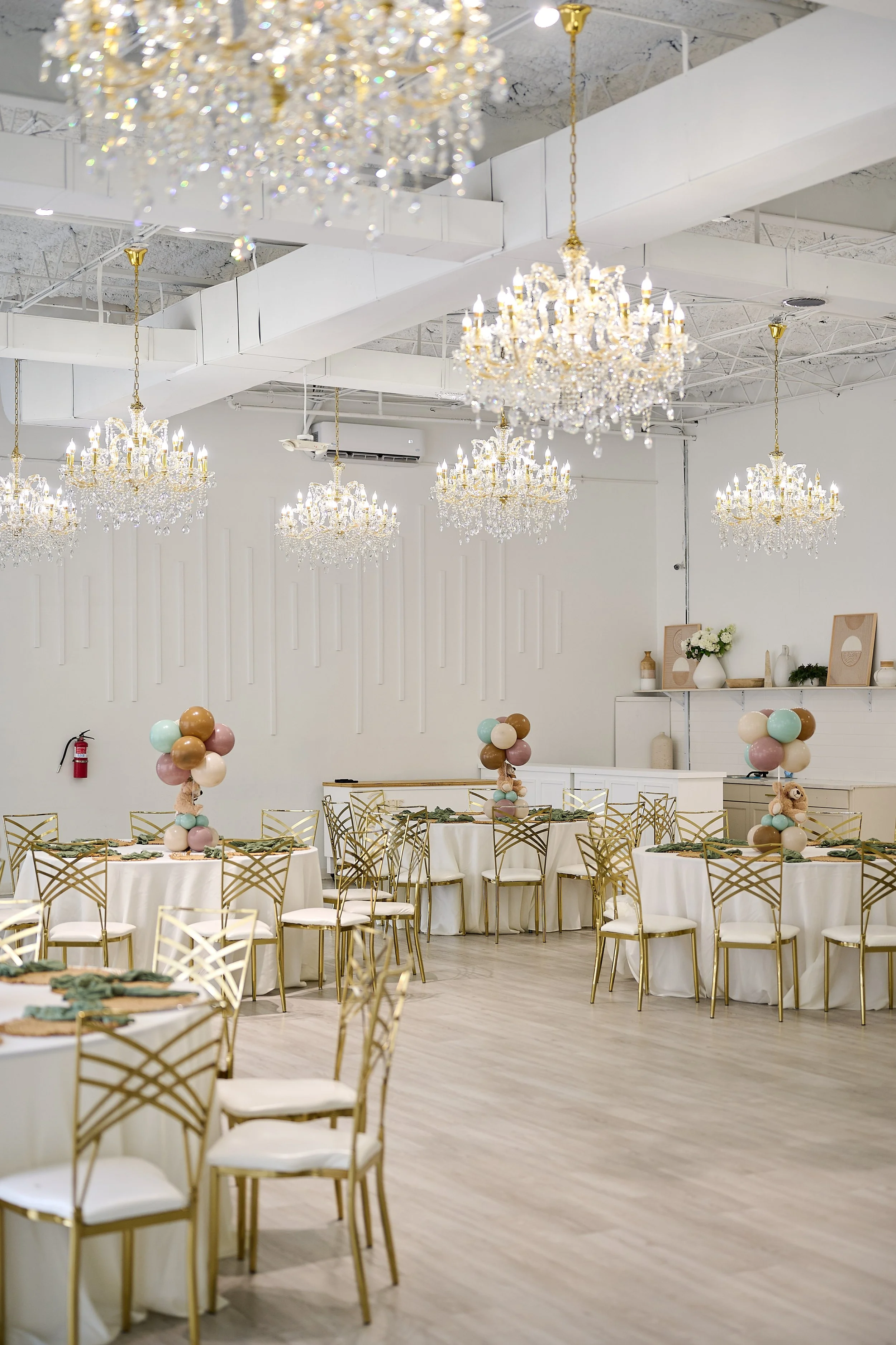 WHITE FLOWER 0093.jpg