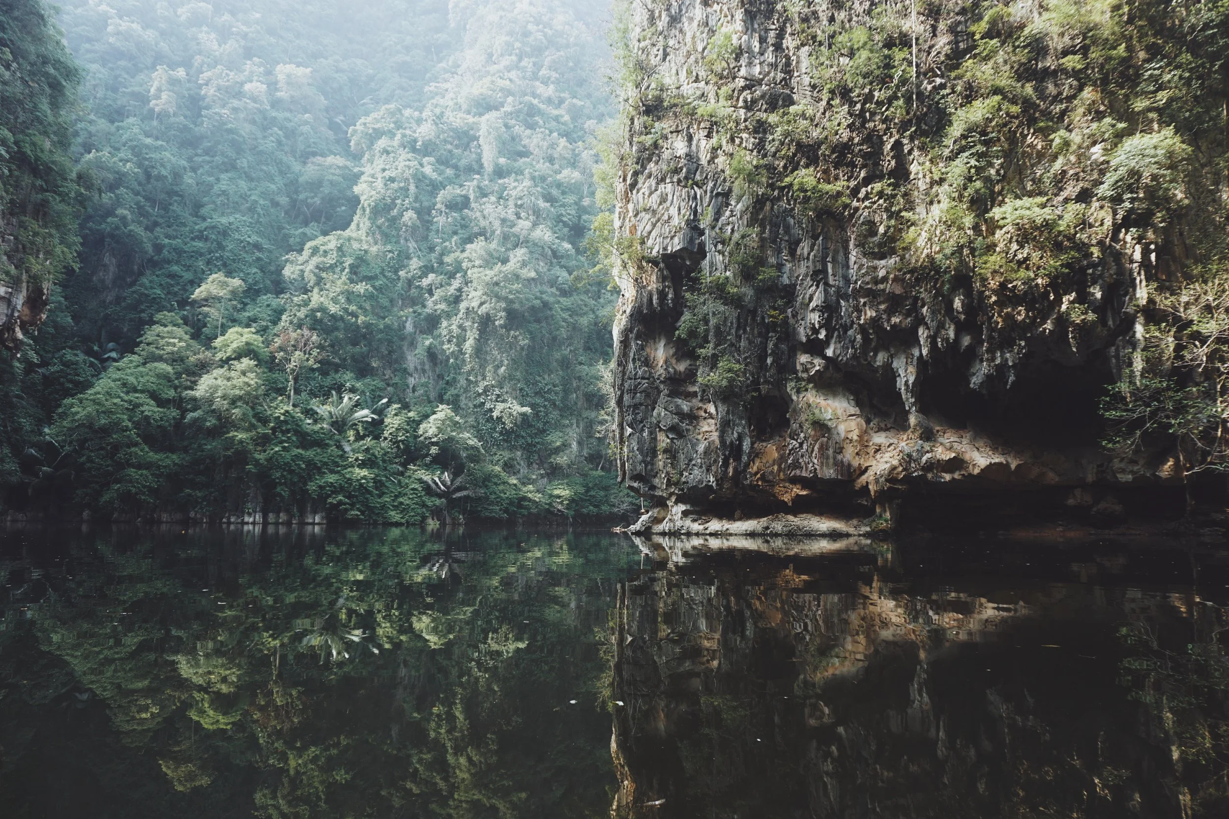 iqx-azmi-tbmejsS-rPA-unsplash.jpg