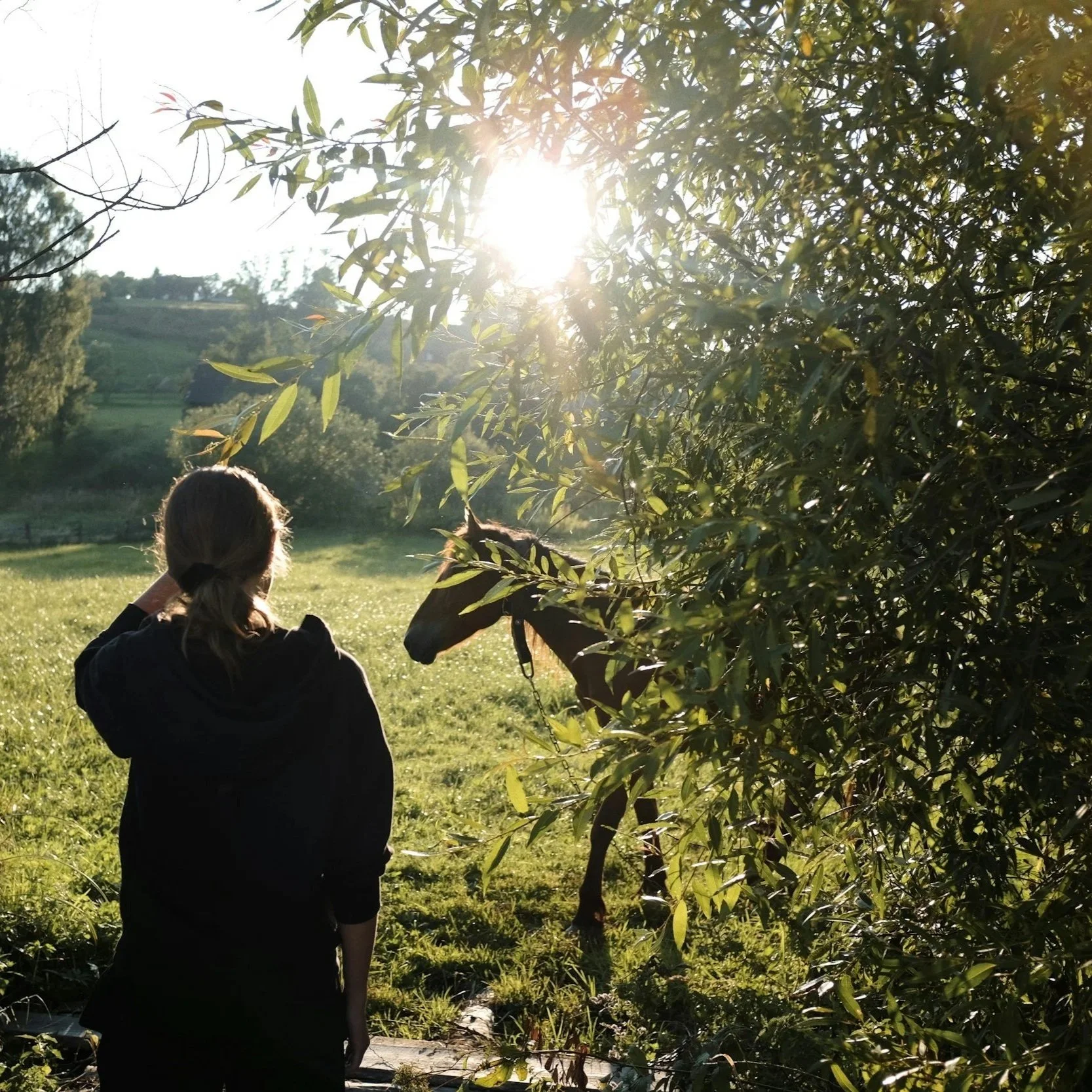 Getting Back on the Horse (Without Turning Your Life Into an Army Boot Camp)