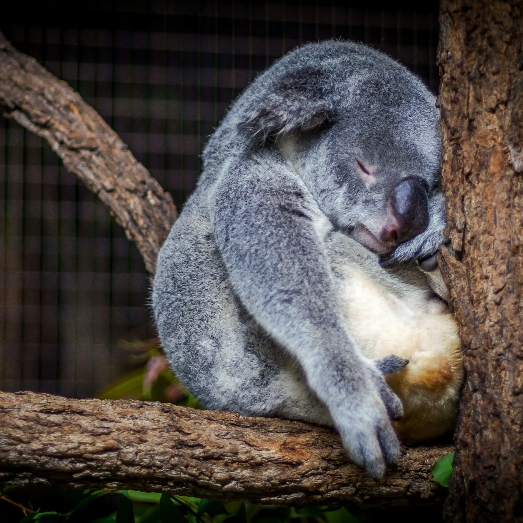 What to Eat When You’re Too Tired to Think (Real-Life Food Ideas That Actually Help)