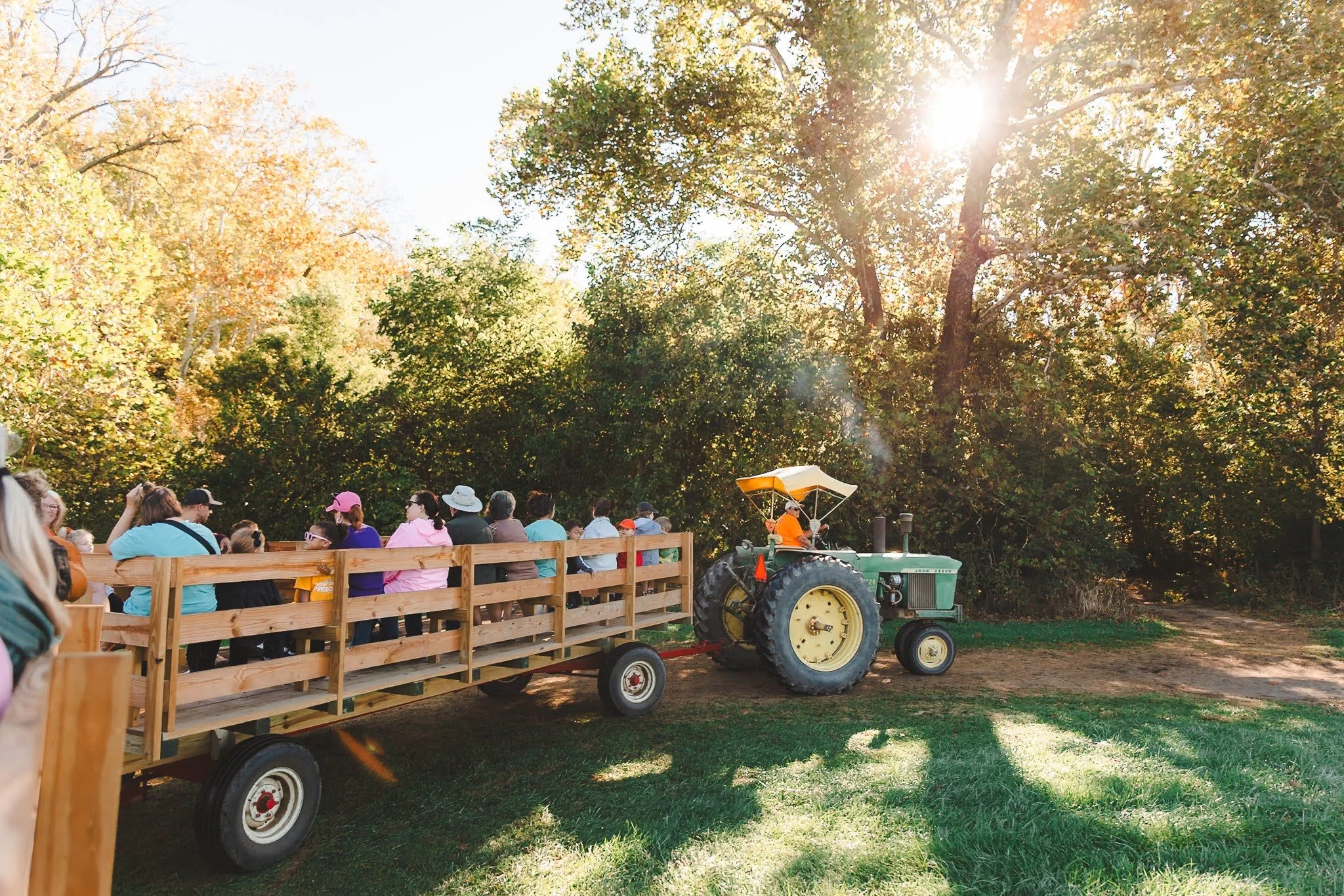 People sitting on a wooden wagon pulled by a green tractor through a wooded area on a sunny day