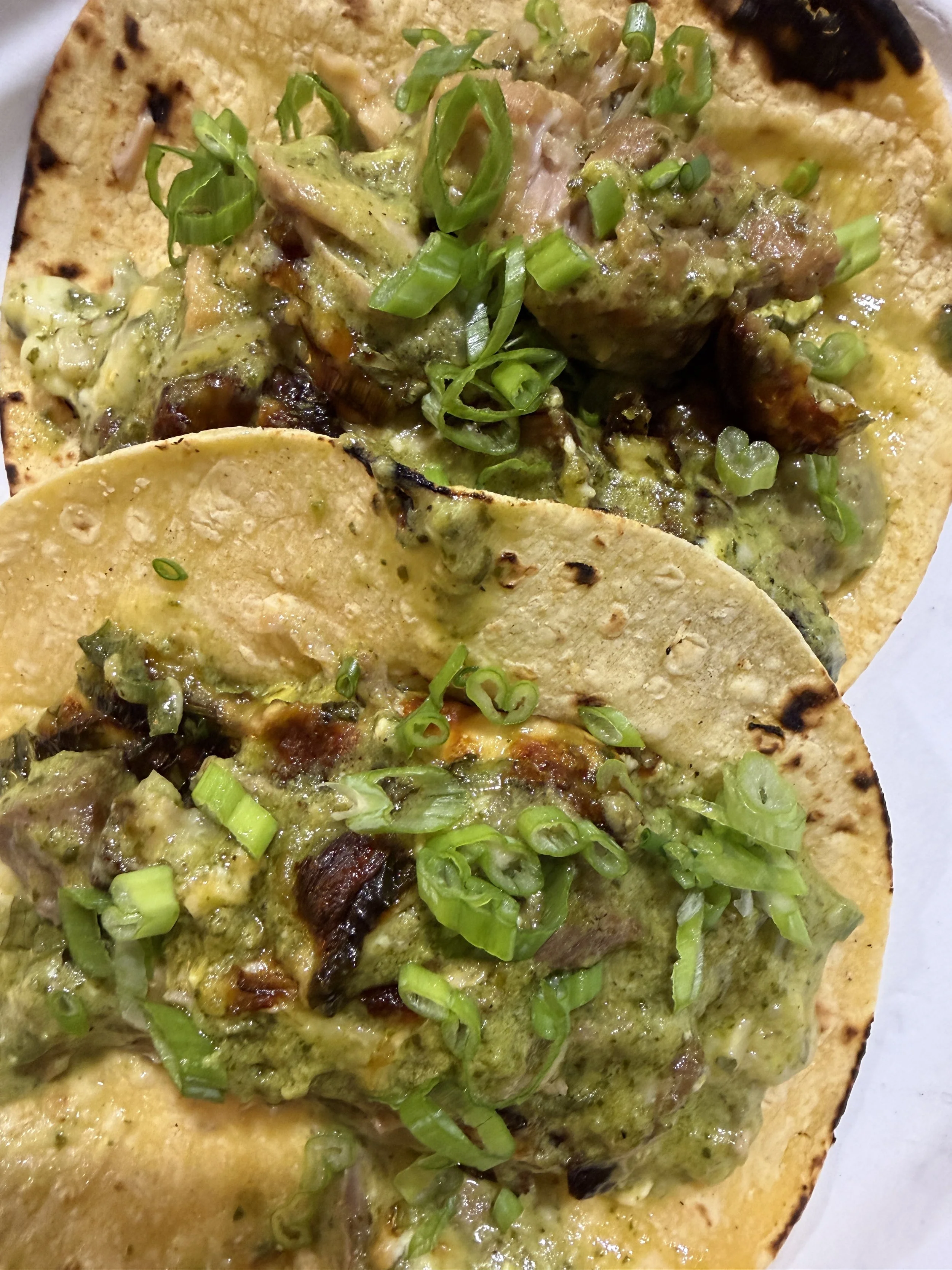 pork poblano casserole in corn tortillas