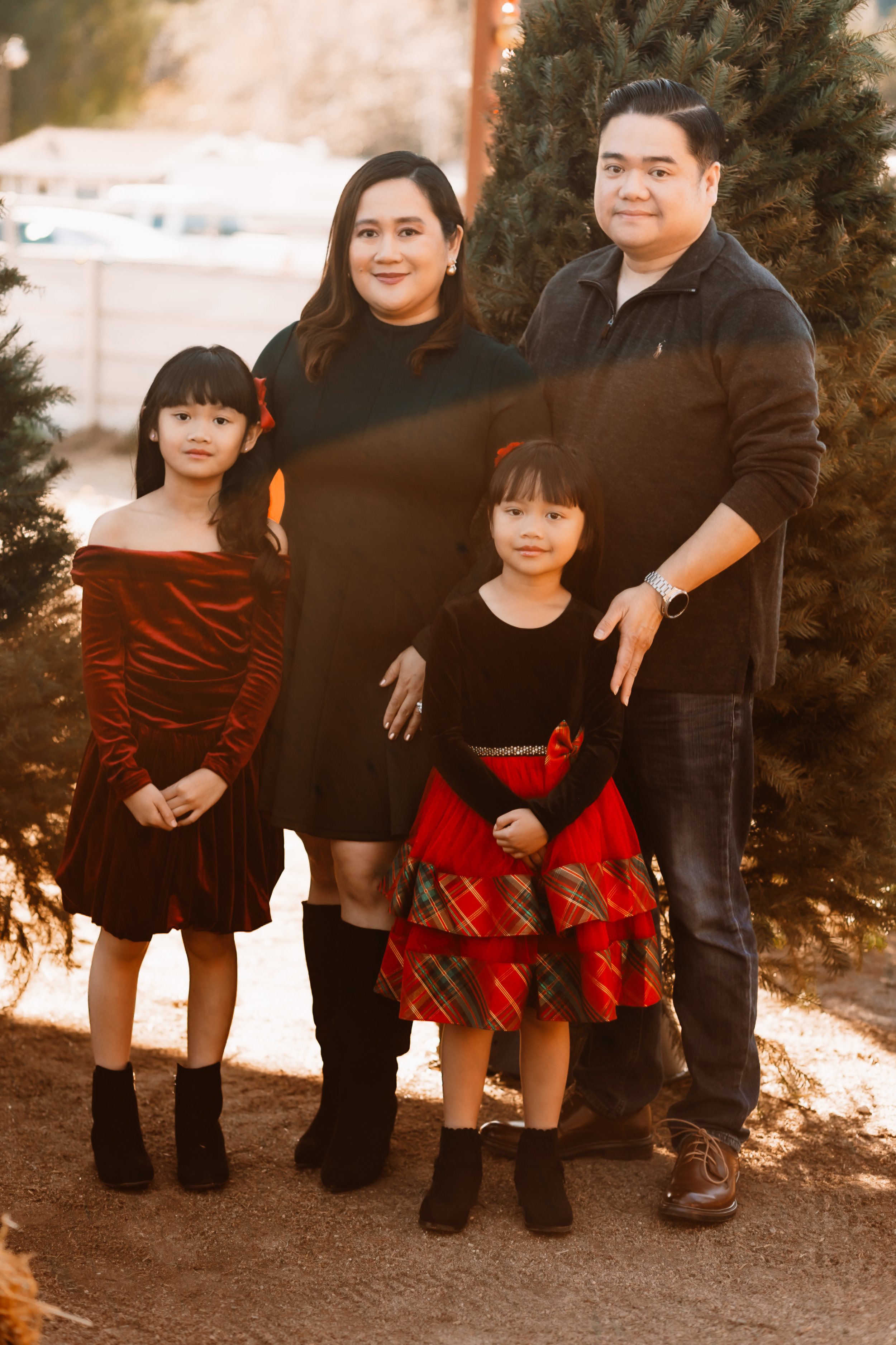 Family of four posing among Christmas trees in golden light, Santa Clarita