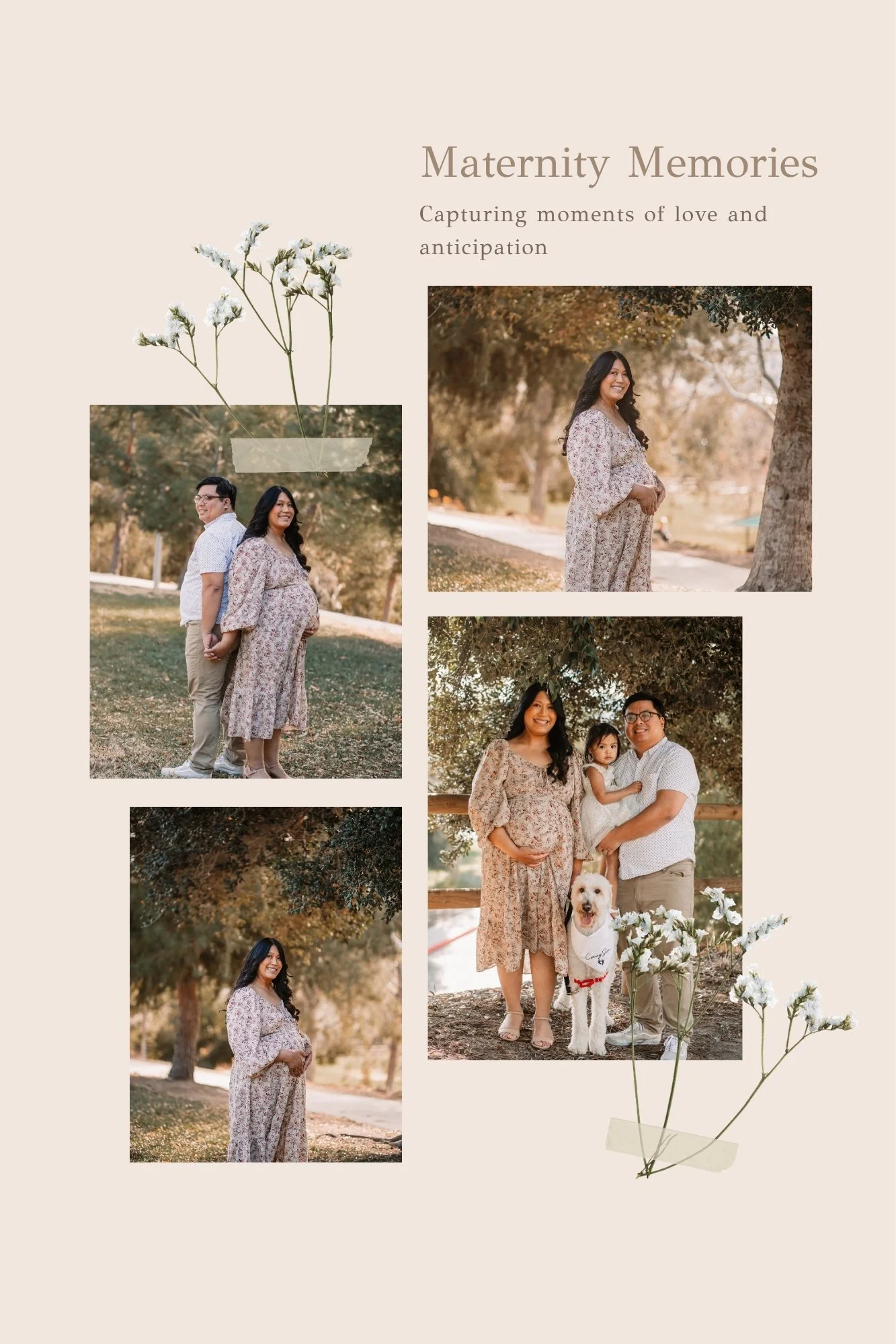 A collage of photos from a maternity photoshoot in an outdoor park with autumn foliage. It includes images of a pregnant woman in a floral dress, a woman with her partner, and a family with a child and dog. There are decorative elements like flowers and dried plants.