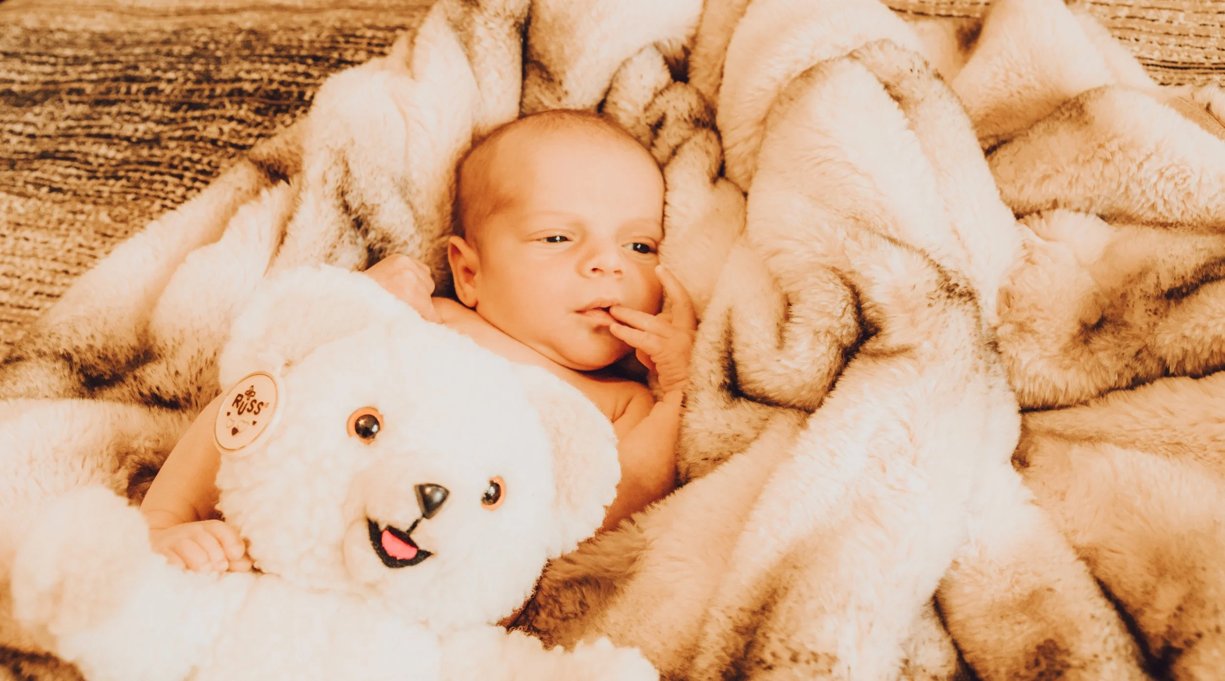 Santa Clarita Photographer - Santa Clarita Lifestyle Newborn Photographer - Santa Clarita Lifestyle Newborn Photos - this photo location is at the private home in santa clarita ca