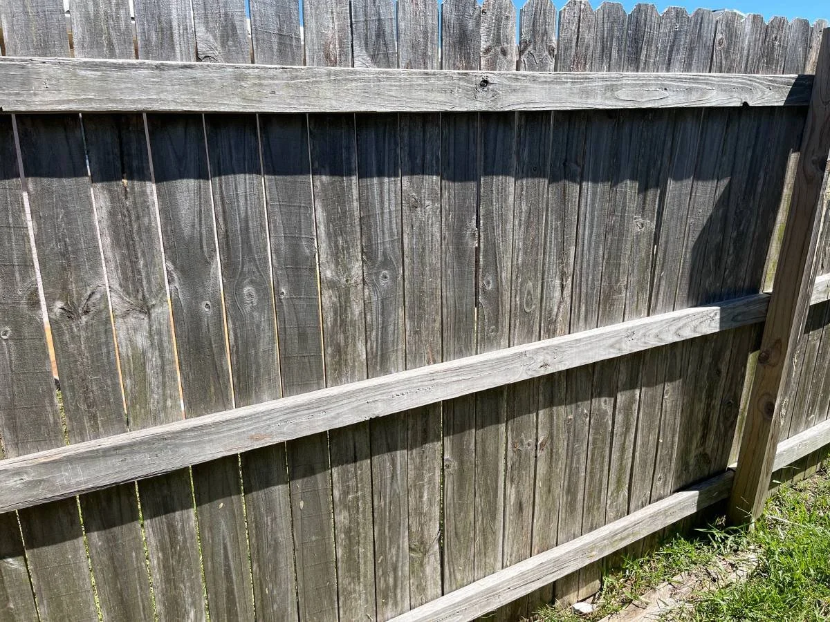 fence.jpg