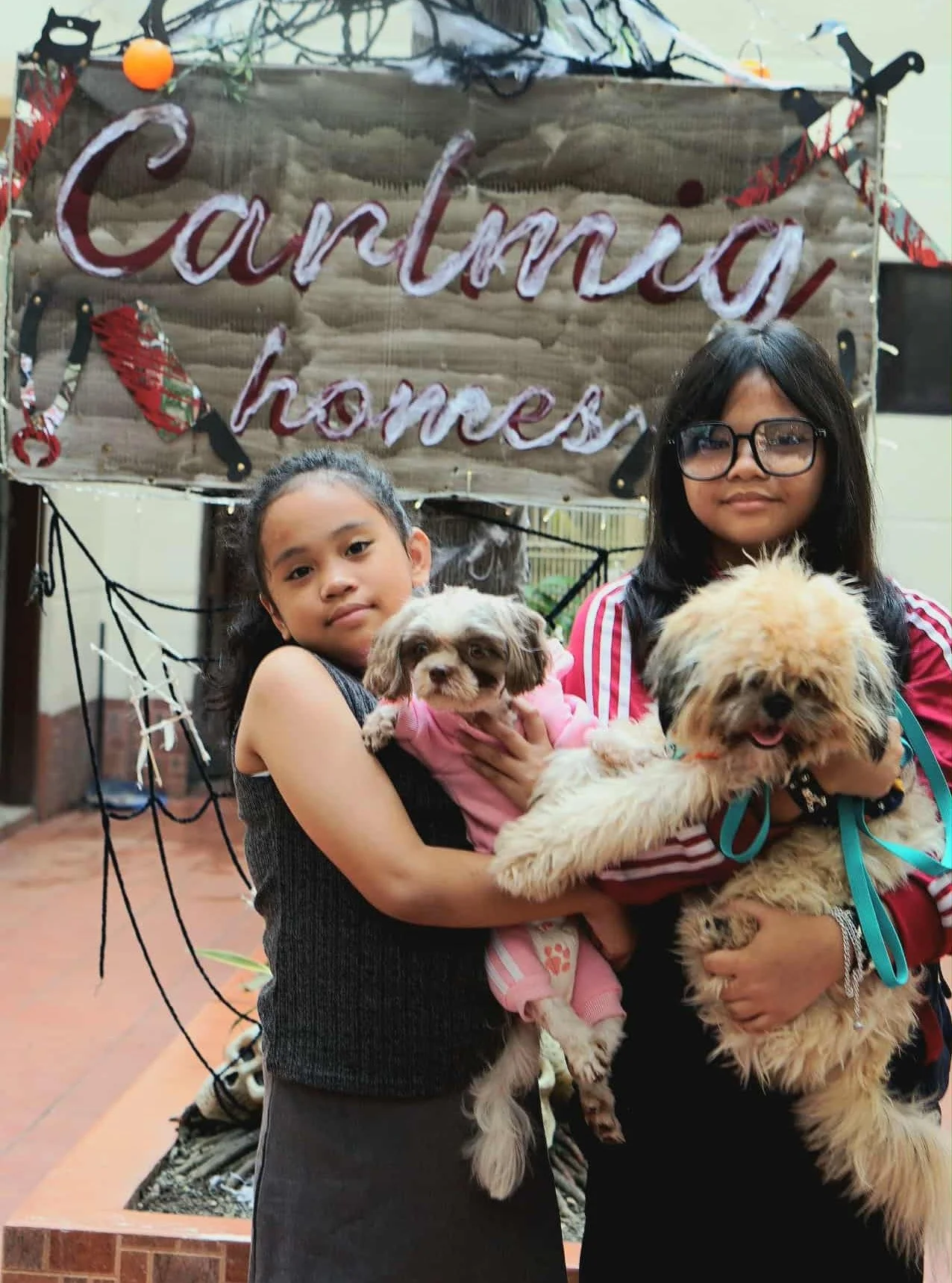 👻Trick or Treat 🎃
WE ARE OPEN FOR WALK-IN TODAY !!!
Don't miss out the HALLOWEEN CELEBRATION TODAY here at Carlmig Homes🎃
Up to 25pax per unit !!!!
✅ 2 Airconditioned Rooms
✅ 10 Comfy Beds (4 double deck/ 2 single beds)
✅ Unlimited Videoke 🎤
✅ Sw