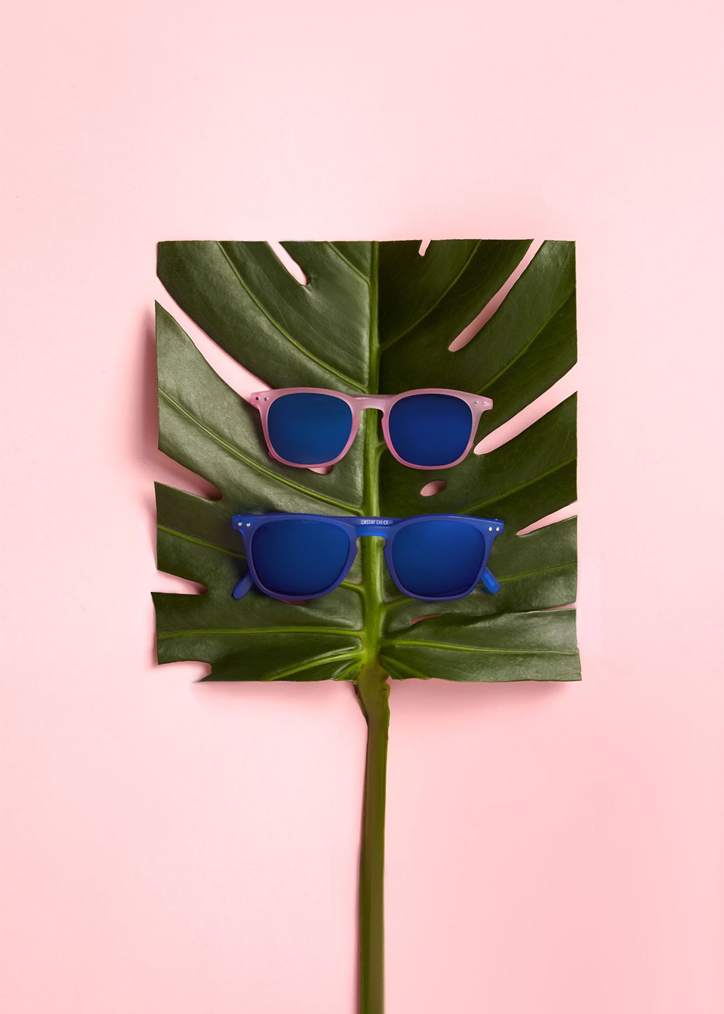 A large green Monstera leaf with pink sunglasses and blue sunglasses on pink background.