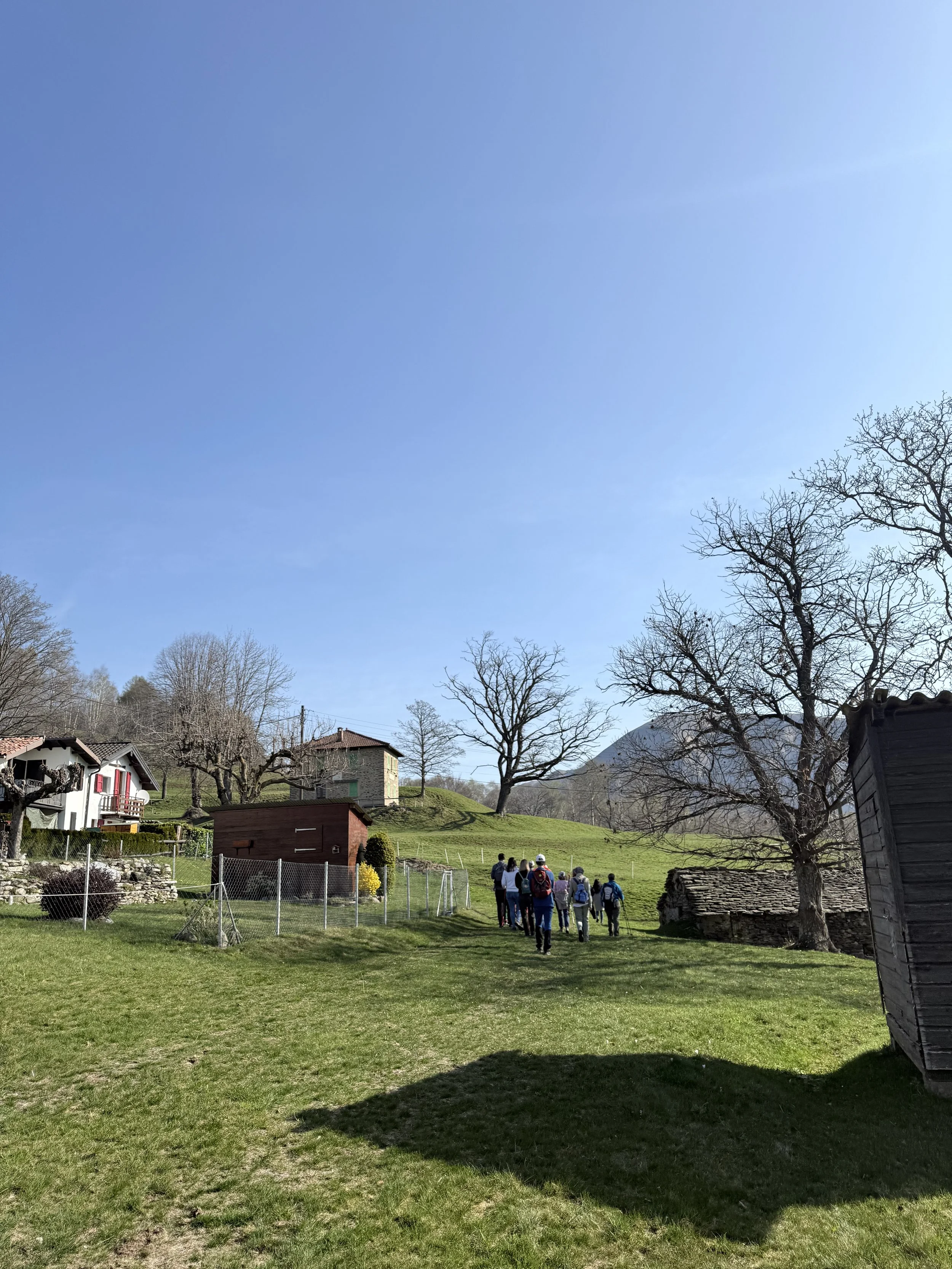 IMG_8125.jpeg