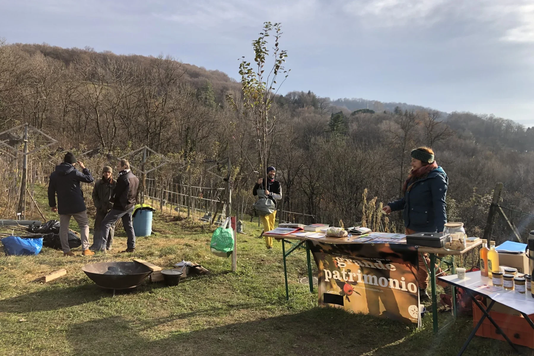 Pianta il tuo albero