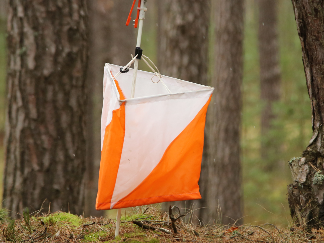Corsa d’orientamento boschi Gola di Lago