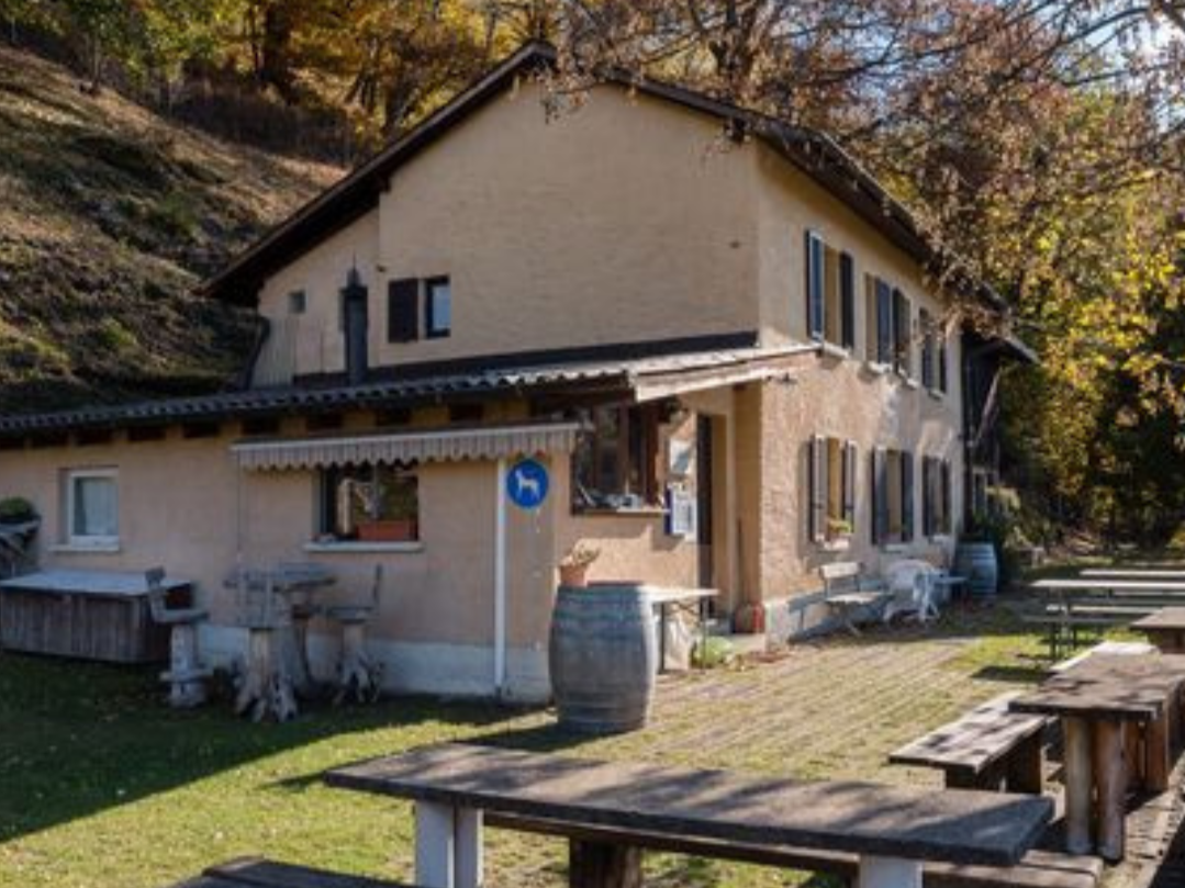 Festa di primavera alla capanna La Ginestra